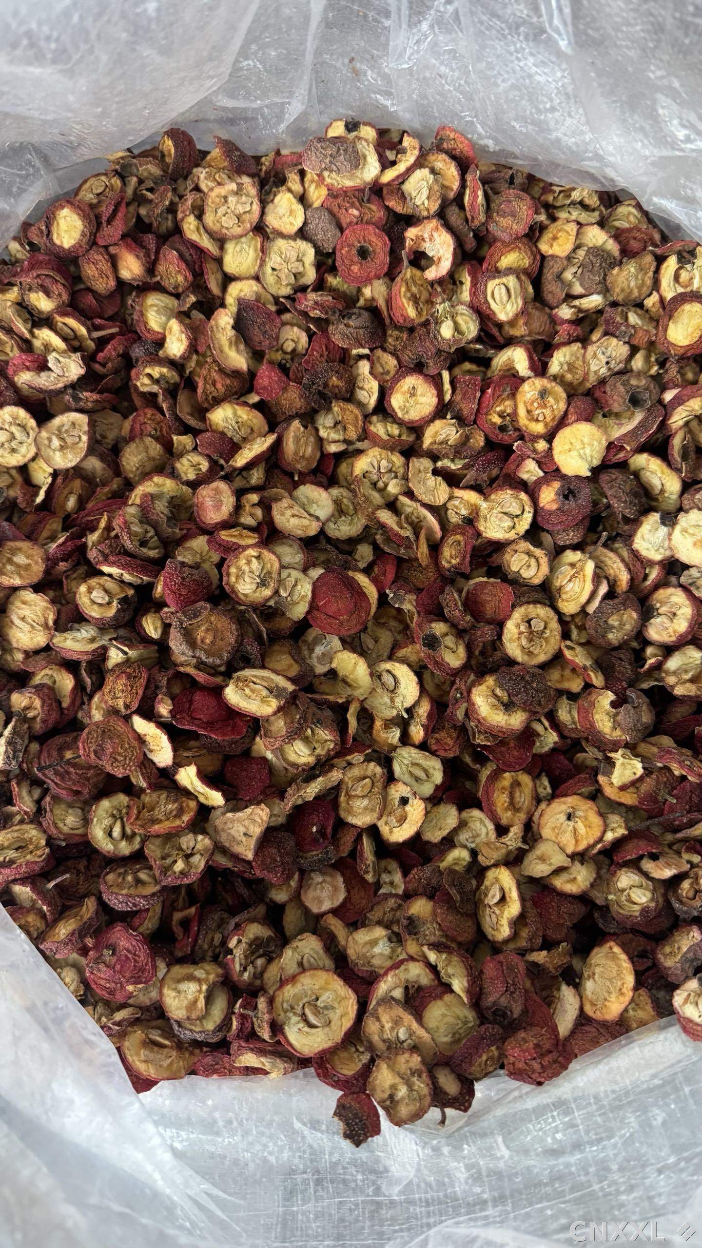 spice_10103_b0107c1f_3.jpg
