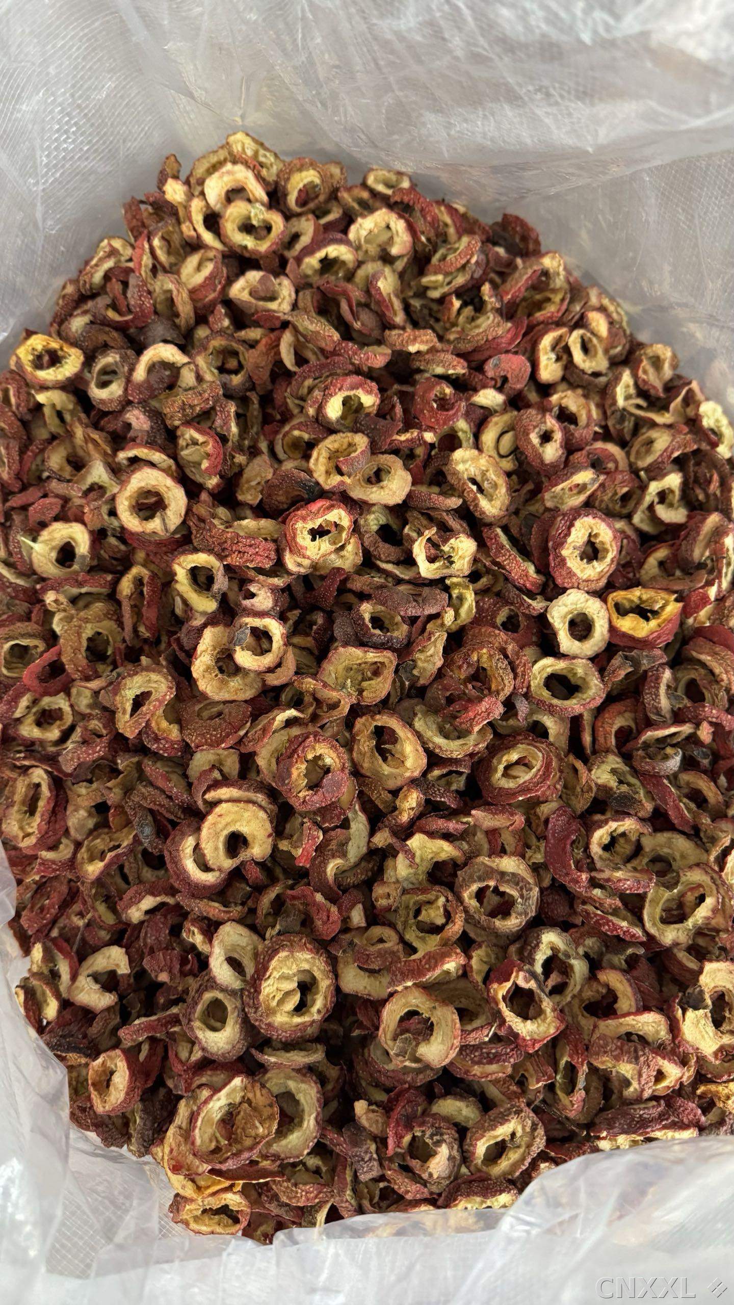 spice_10108_6b8c3c09_3.jpg