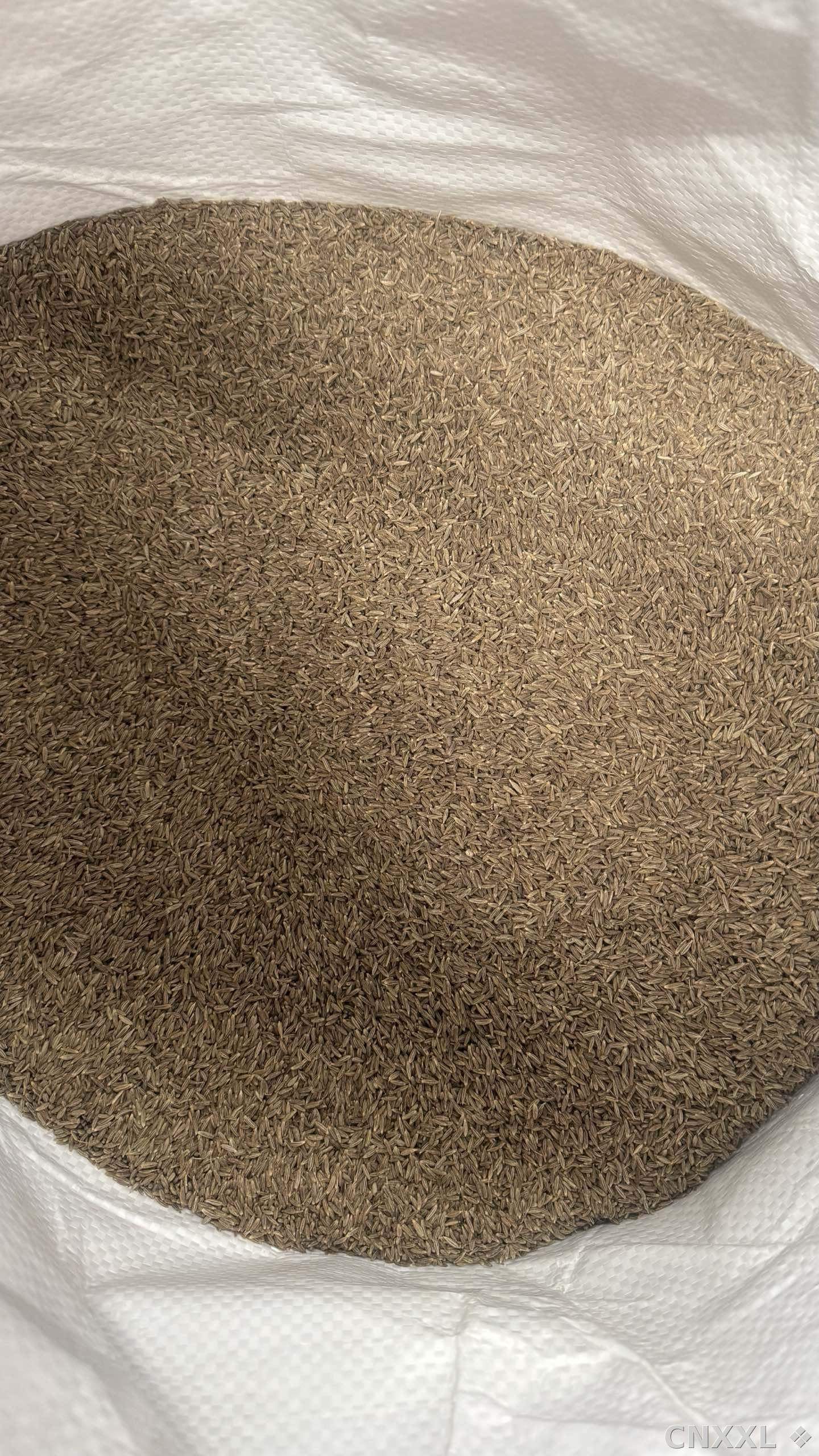 spice_10702_3dfb4098_2.jpg