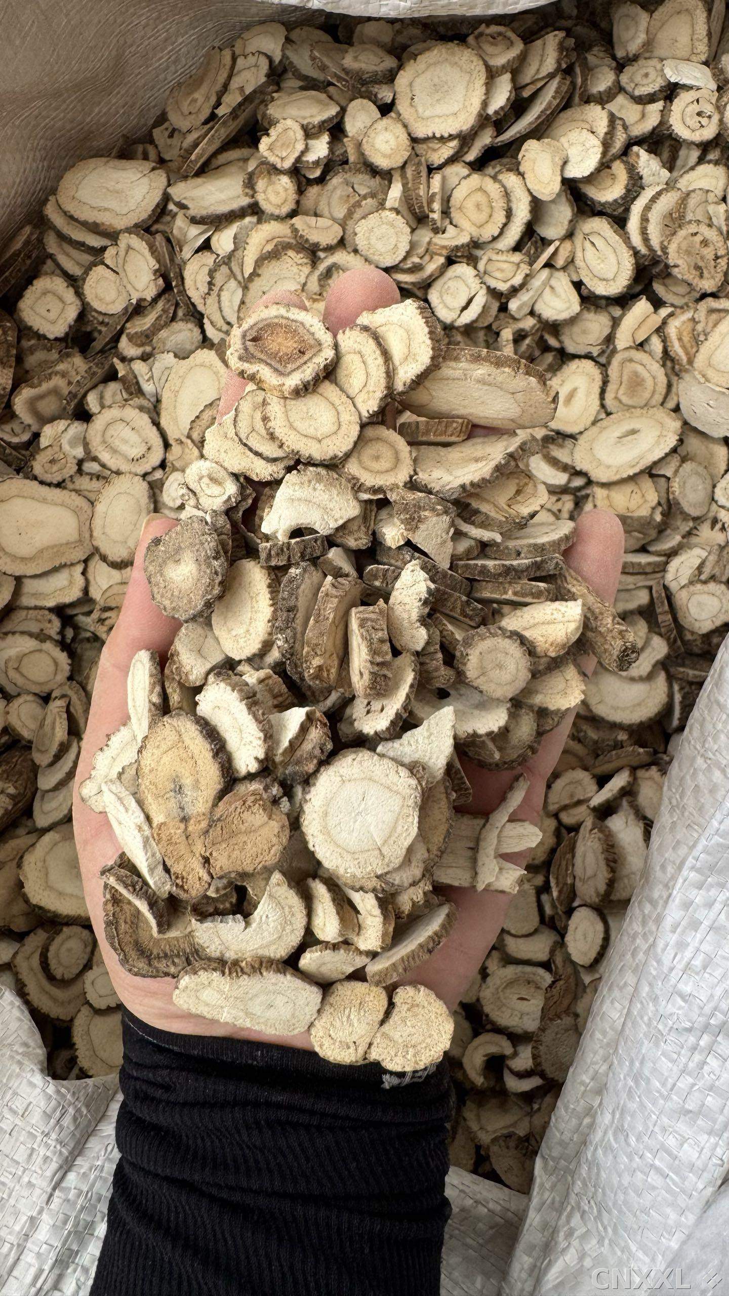spice_10716_11a2f34a_2.jpg