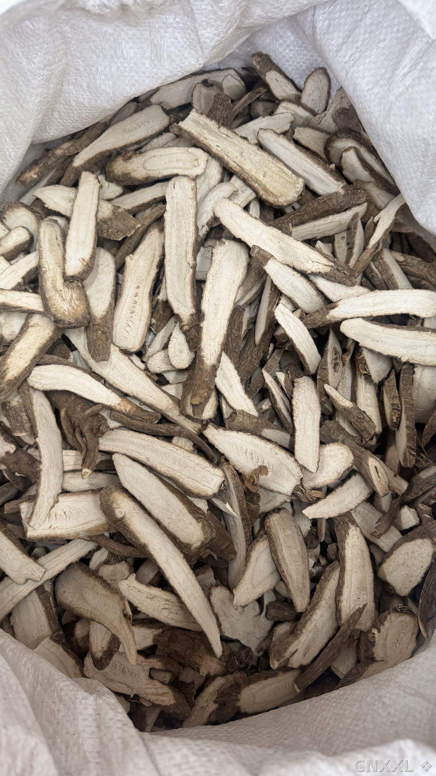 spice_10728_783fdc14_3.jpg