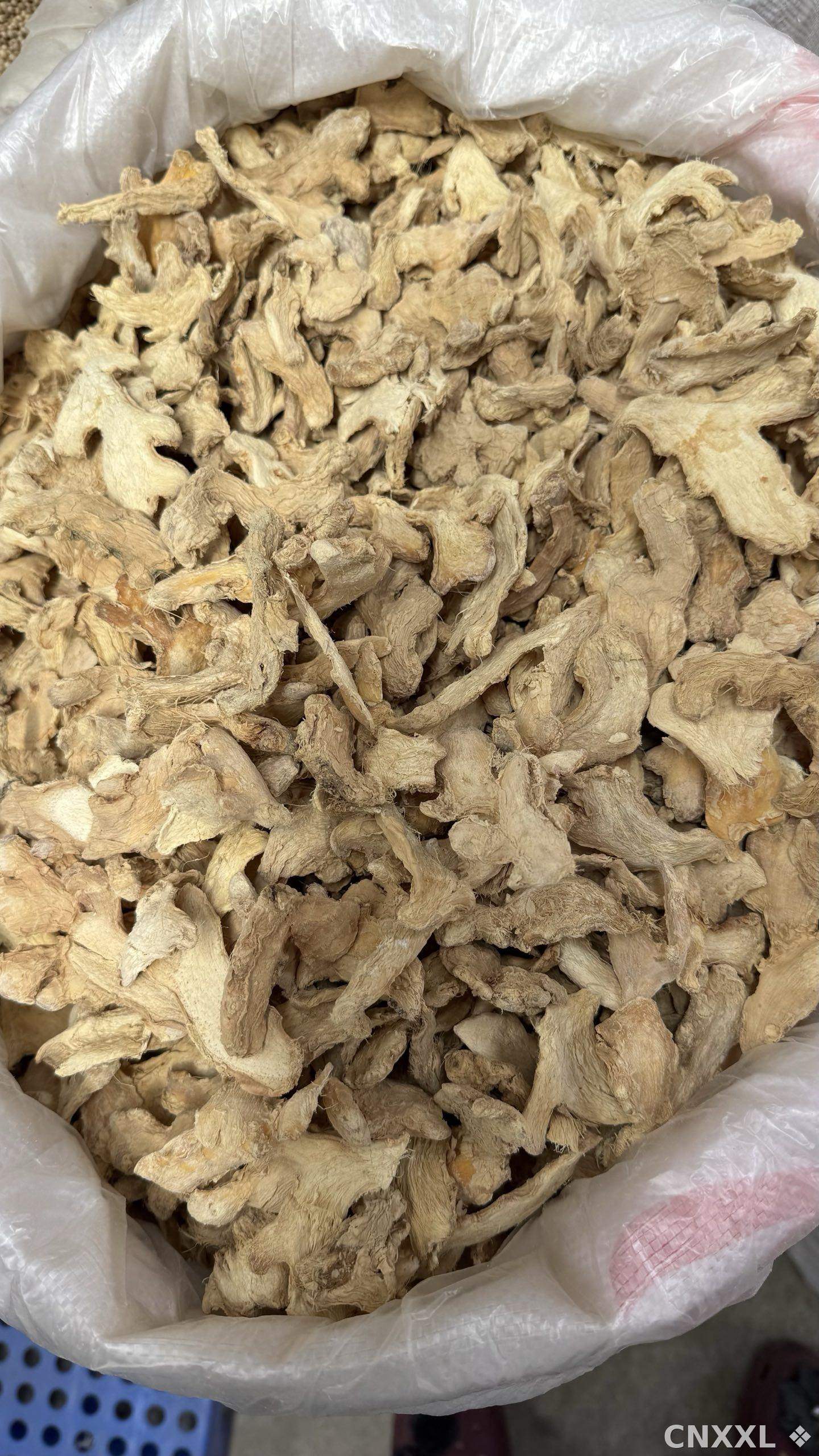 spice_12458_4920c69c_3.jpg