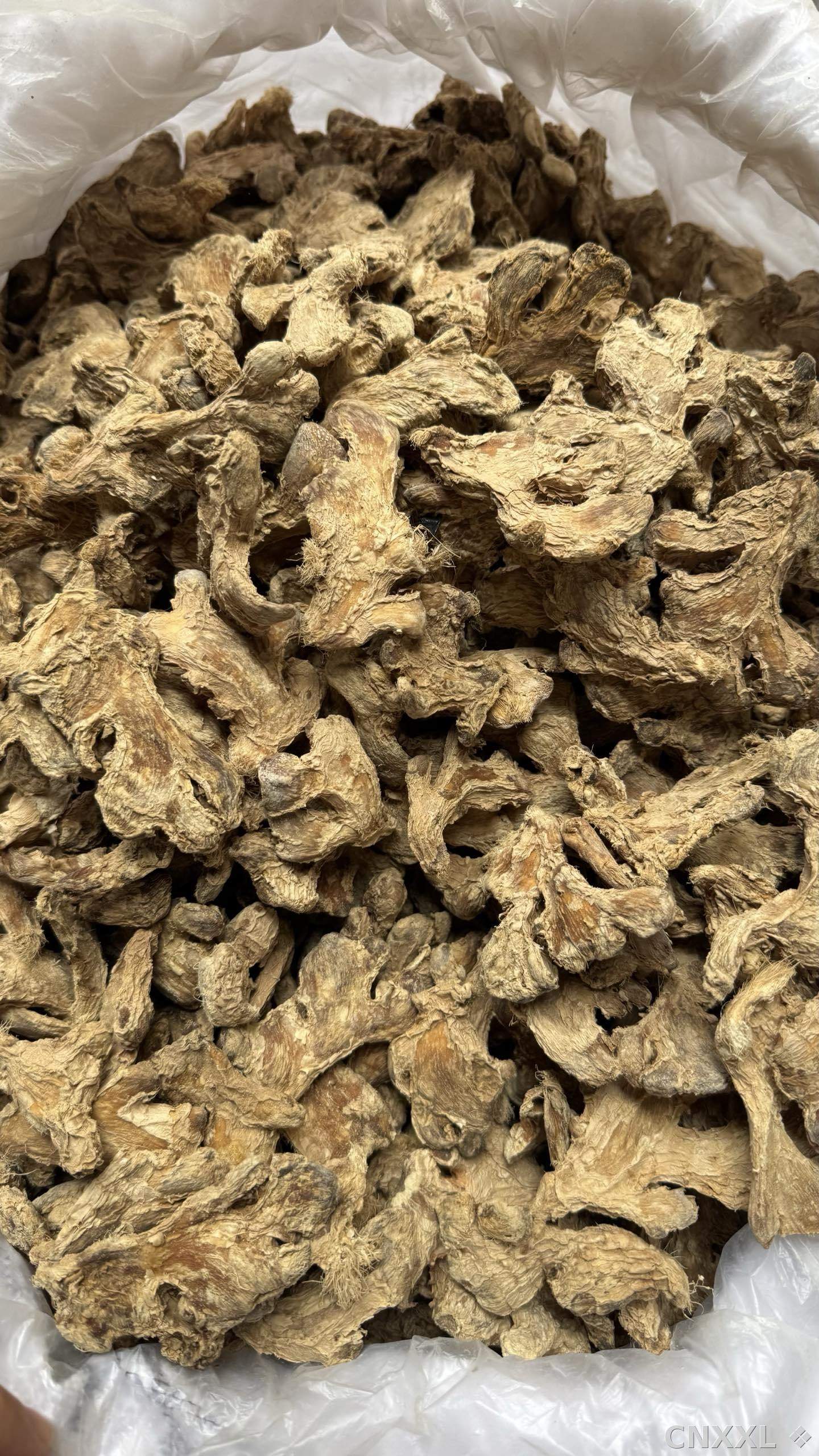 spice_12459_59e6898f_3.jpg