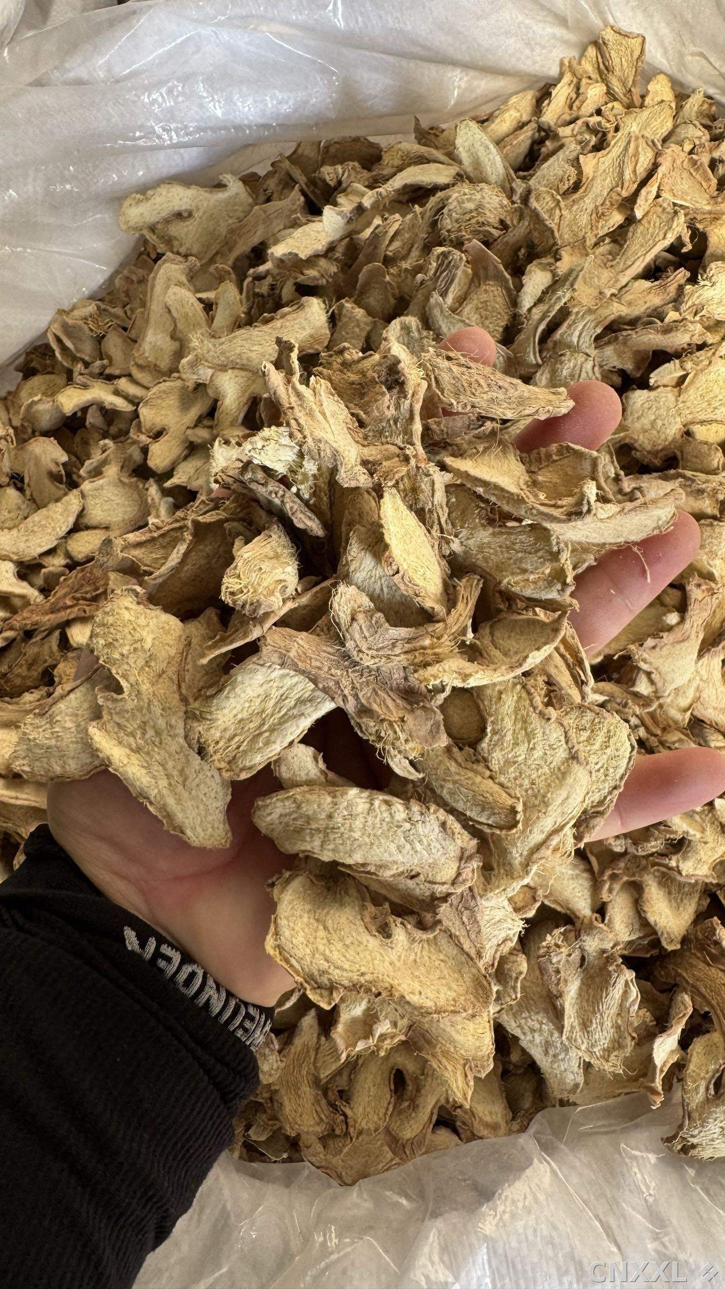 spice_1457780_fa823a3d_2.jpg