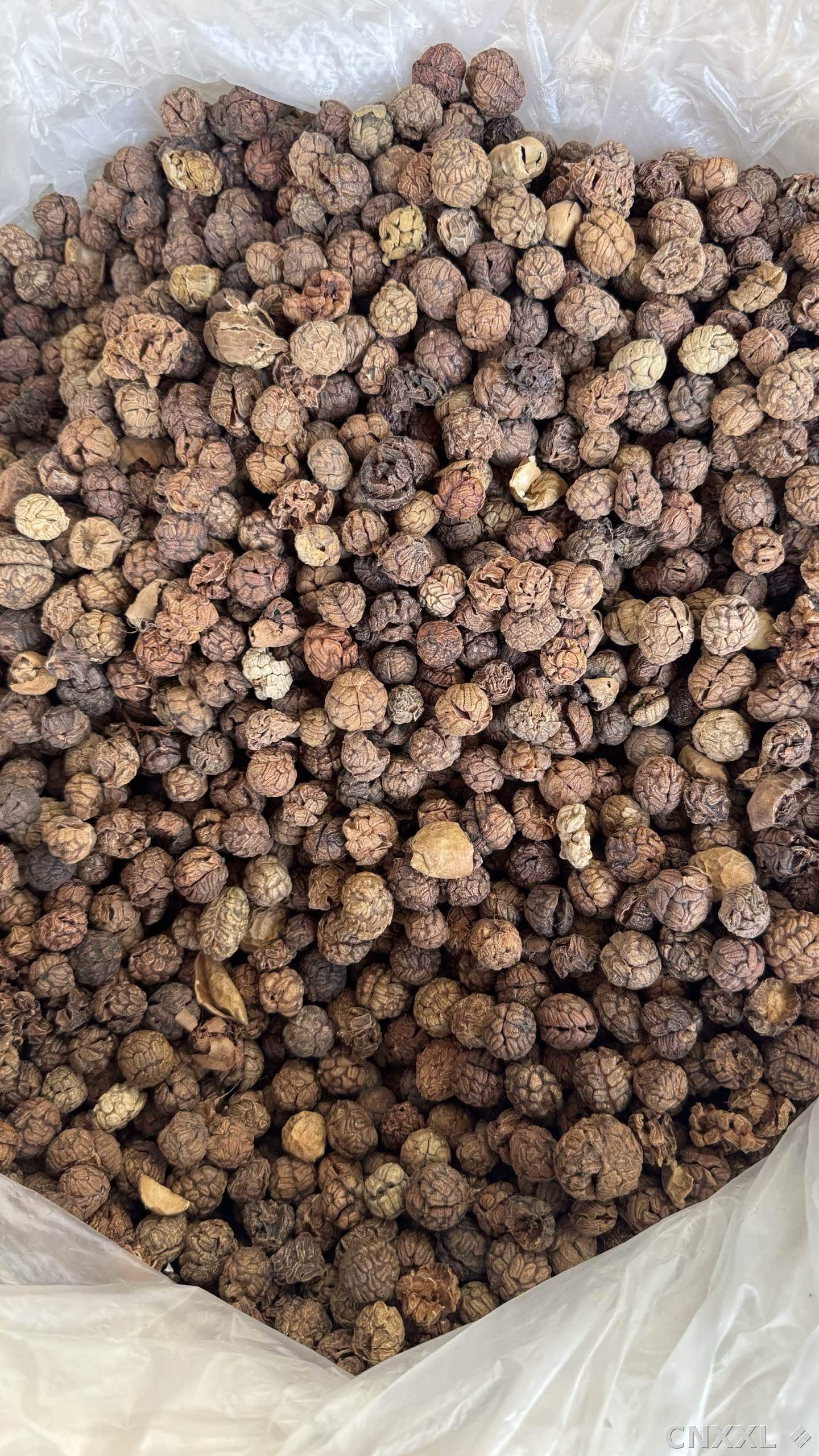 spice_14835_43eec7fd_3.jpg