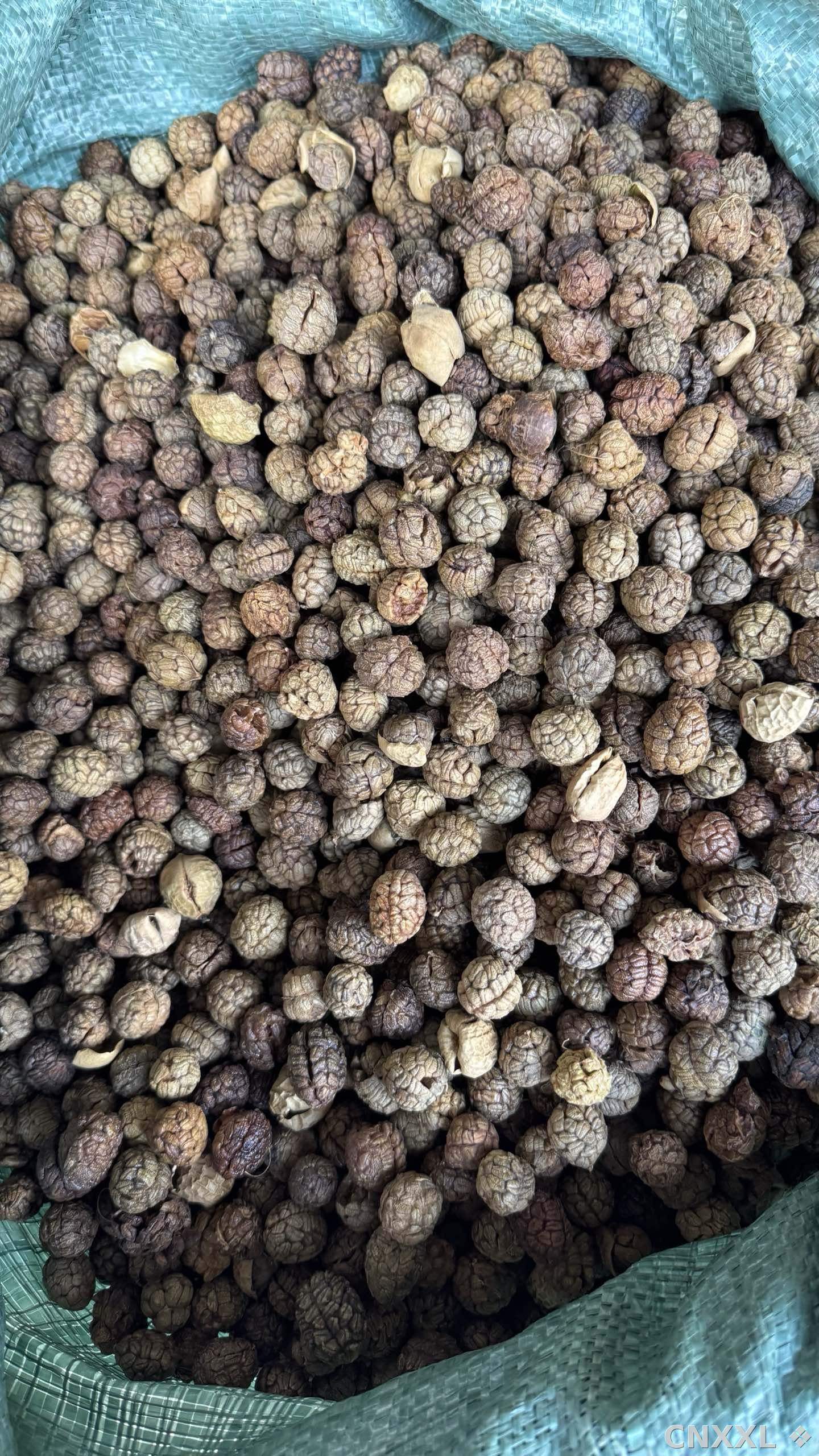 spice_14835_9930c8d4_2.jpg