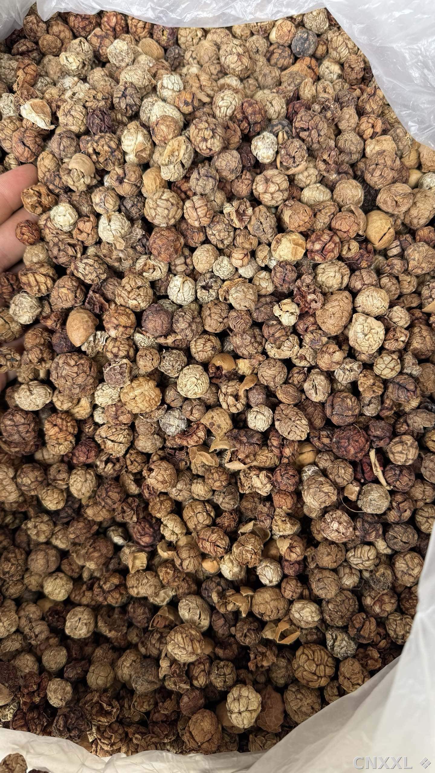 spice_14836_1b74c84b_2.jpg
