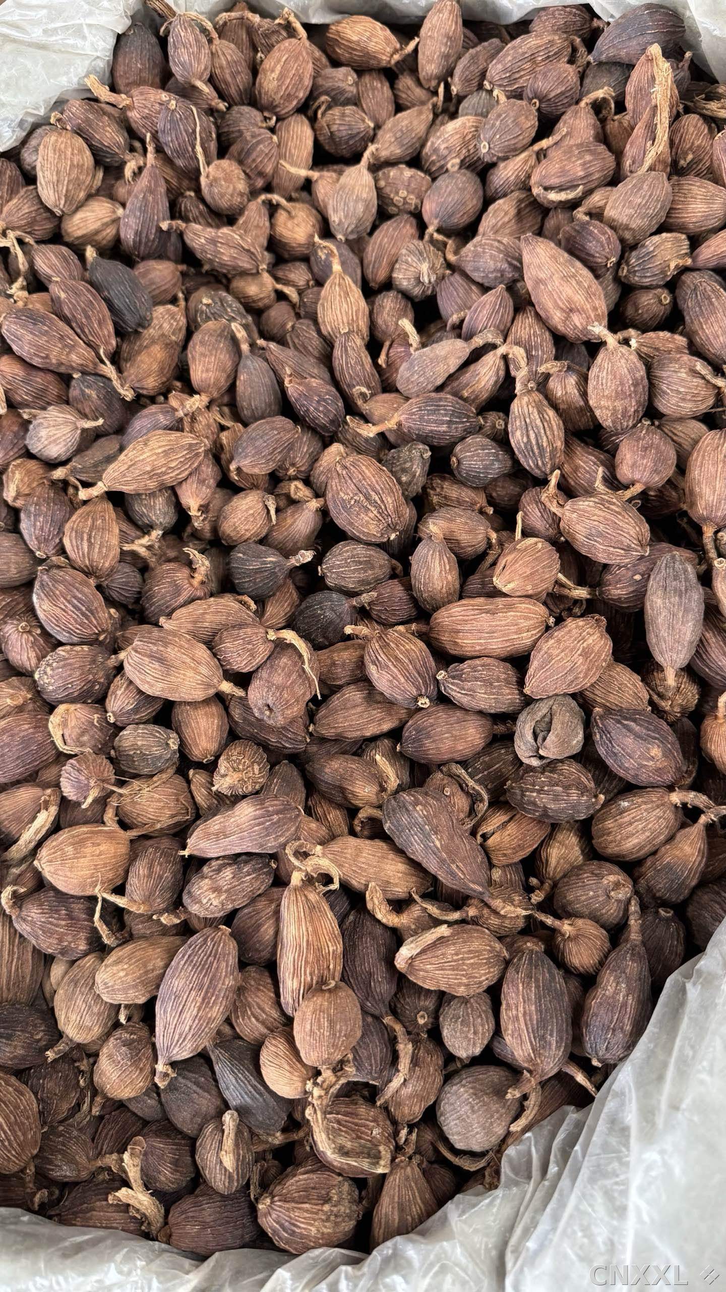 spice_19074_daeef3d9_3.jpg
