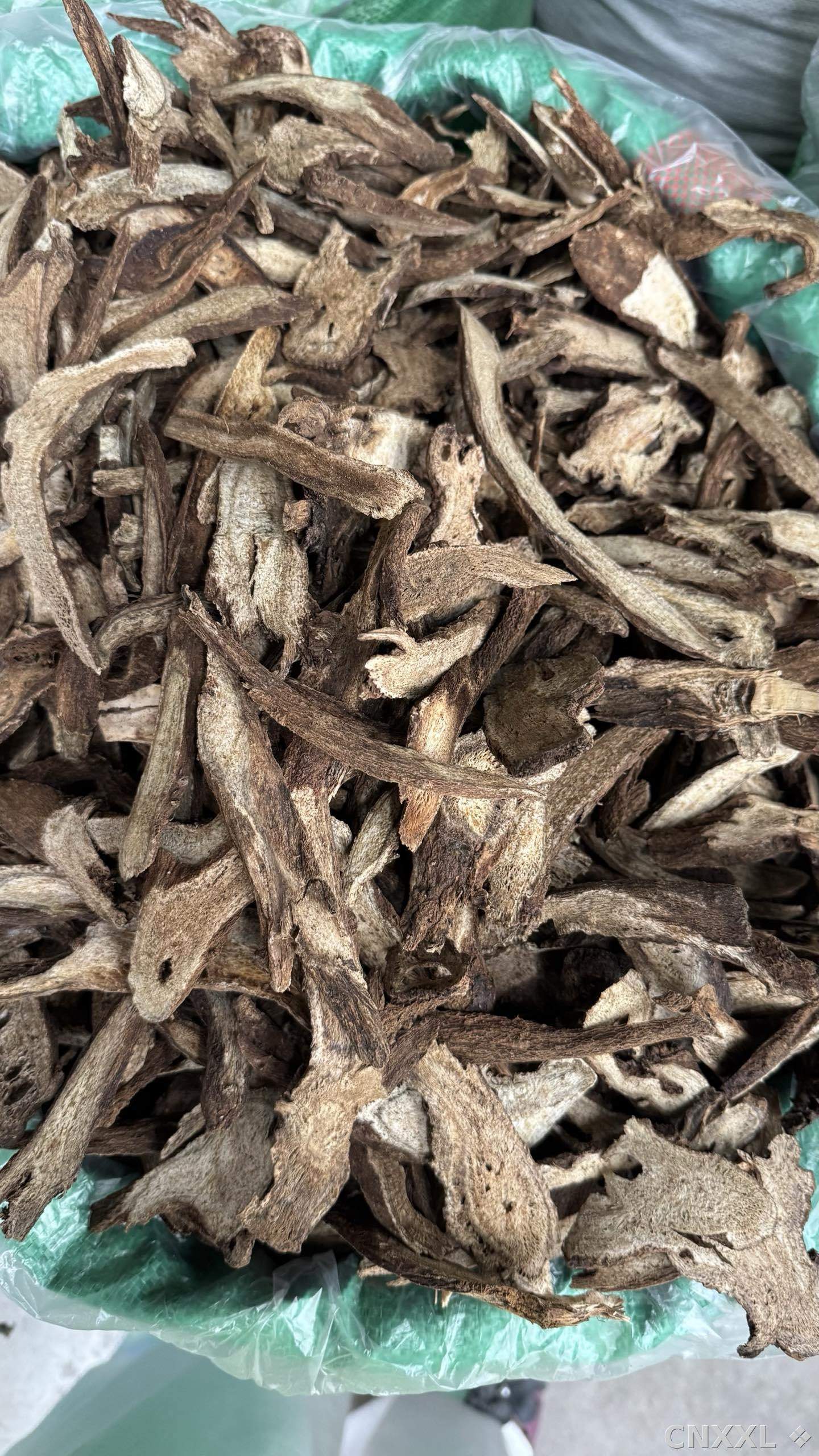 spice_19364_562ebf00_3.jpg