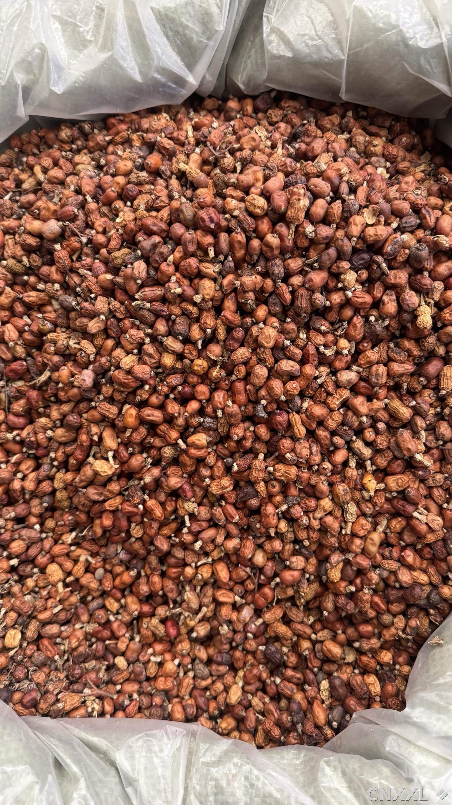 spice_2058545_e5d878f4_3.jpg