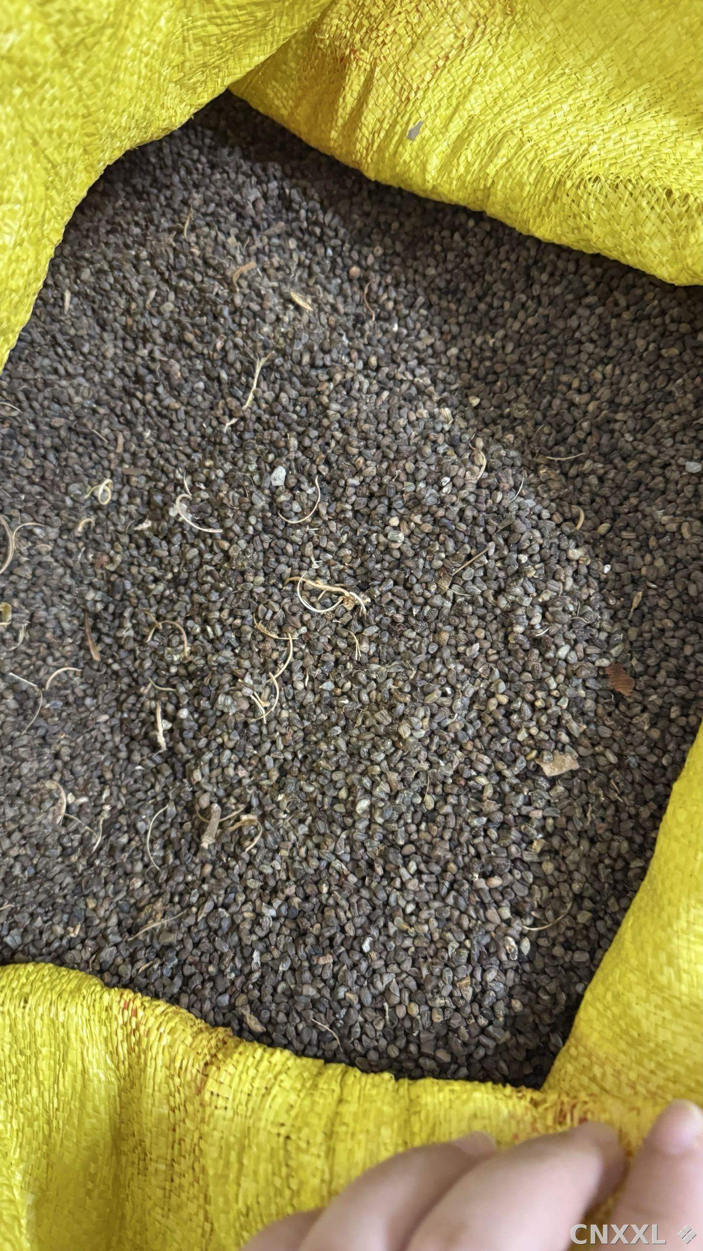 spice_362706_6b6bbba5_3.jpg