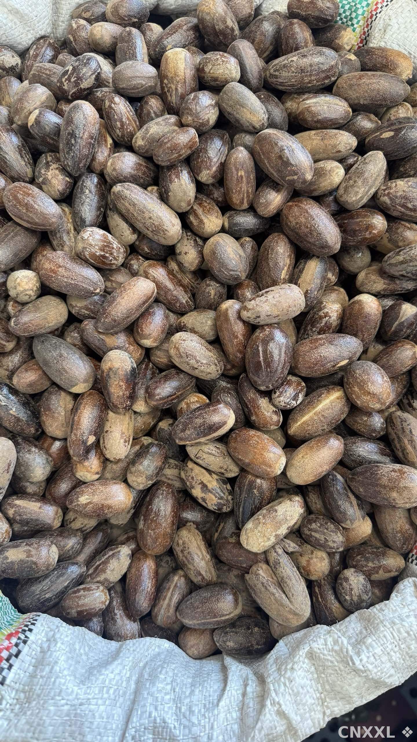 spice_3708358_ed45b20e_3.jpg