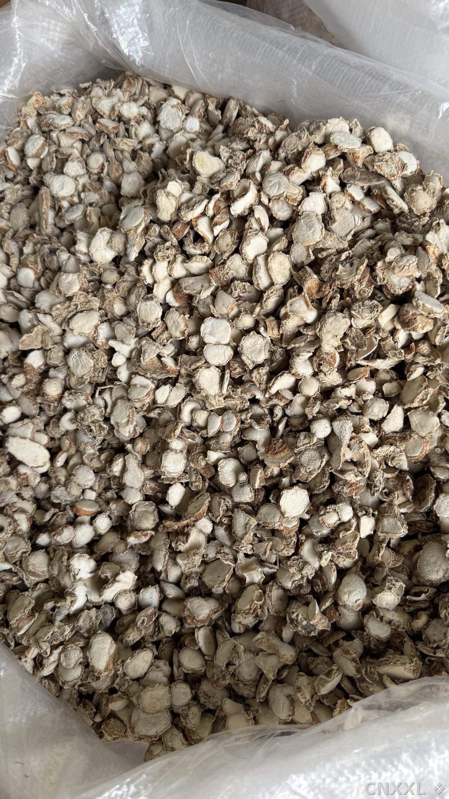 spice_4581983_501b5bf8_3.jpg