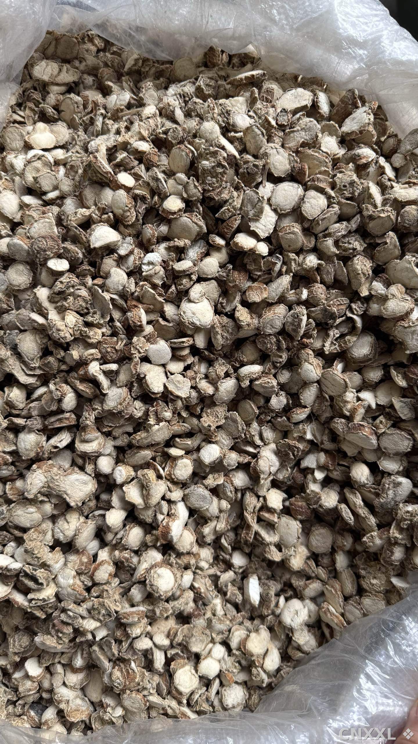 spice_4581983_941be840_3.jpg