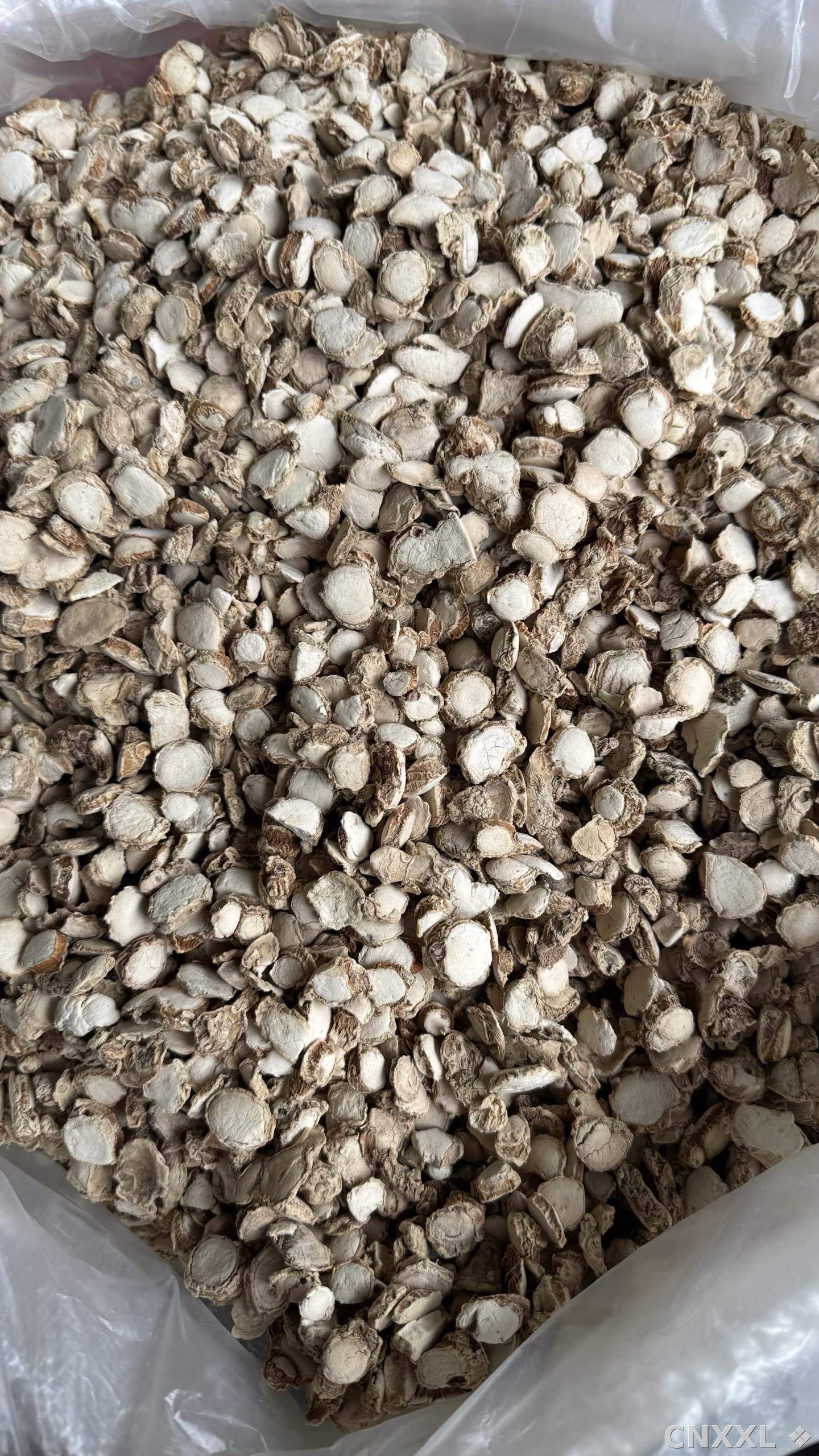 spice_4587103_118304af_3.jpg