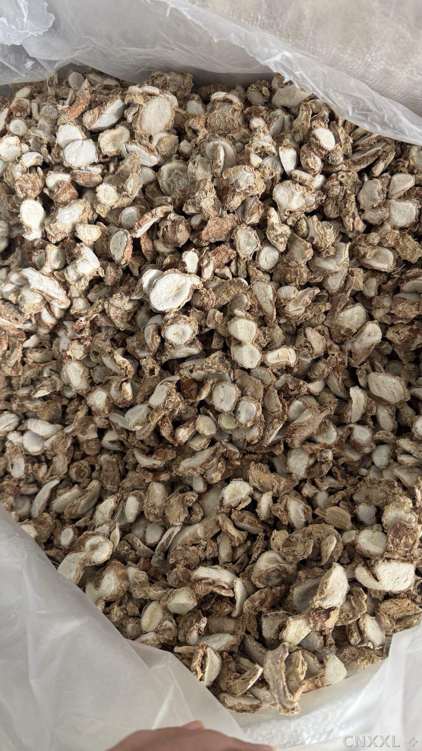 spice_4612696_64aca61f_3.jpg