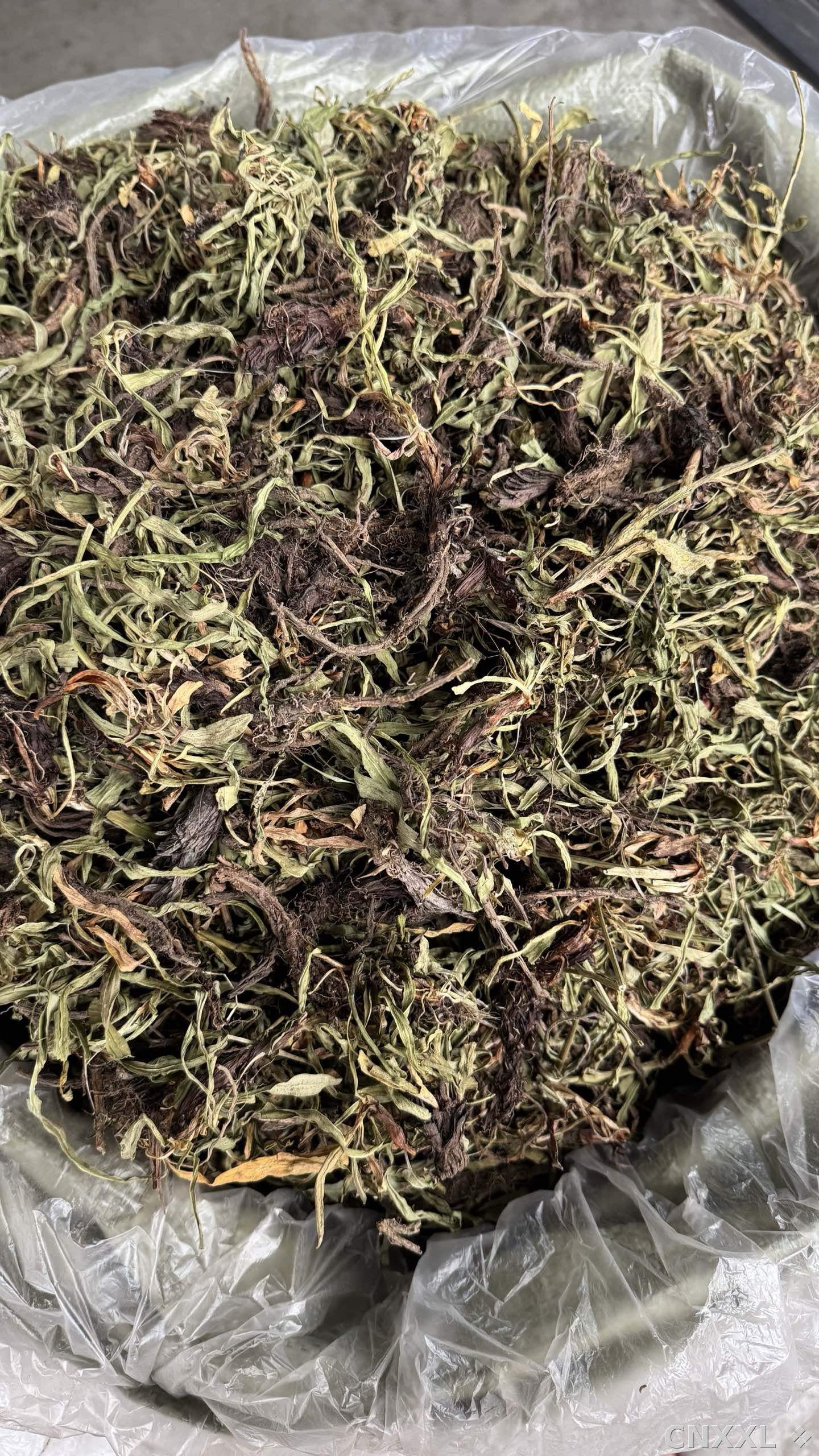 spice_5195893_5b8fdac6_3.jpg