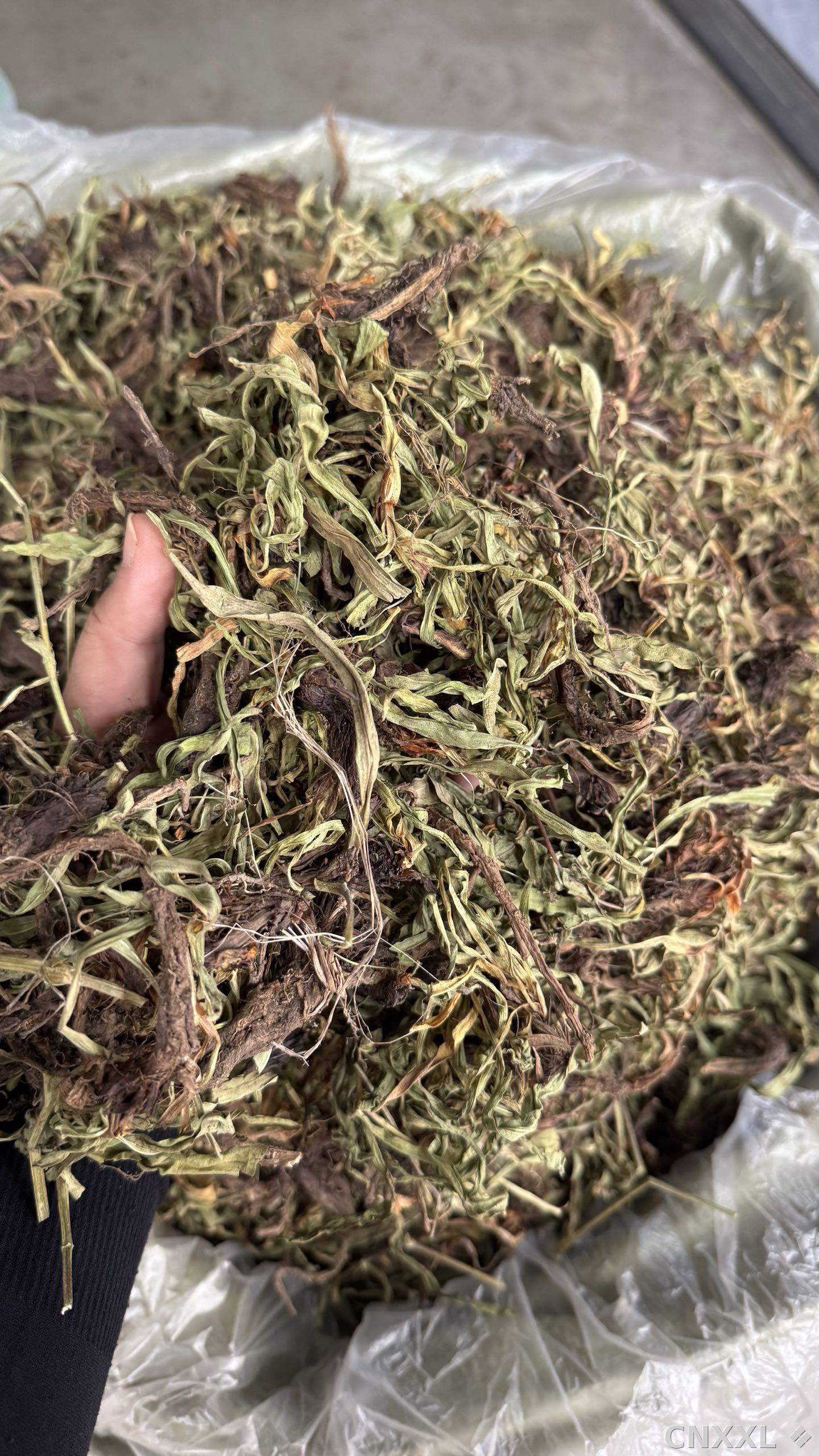 spice_5195893_96066c22_1.jpg