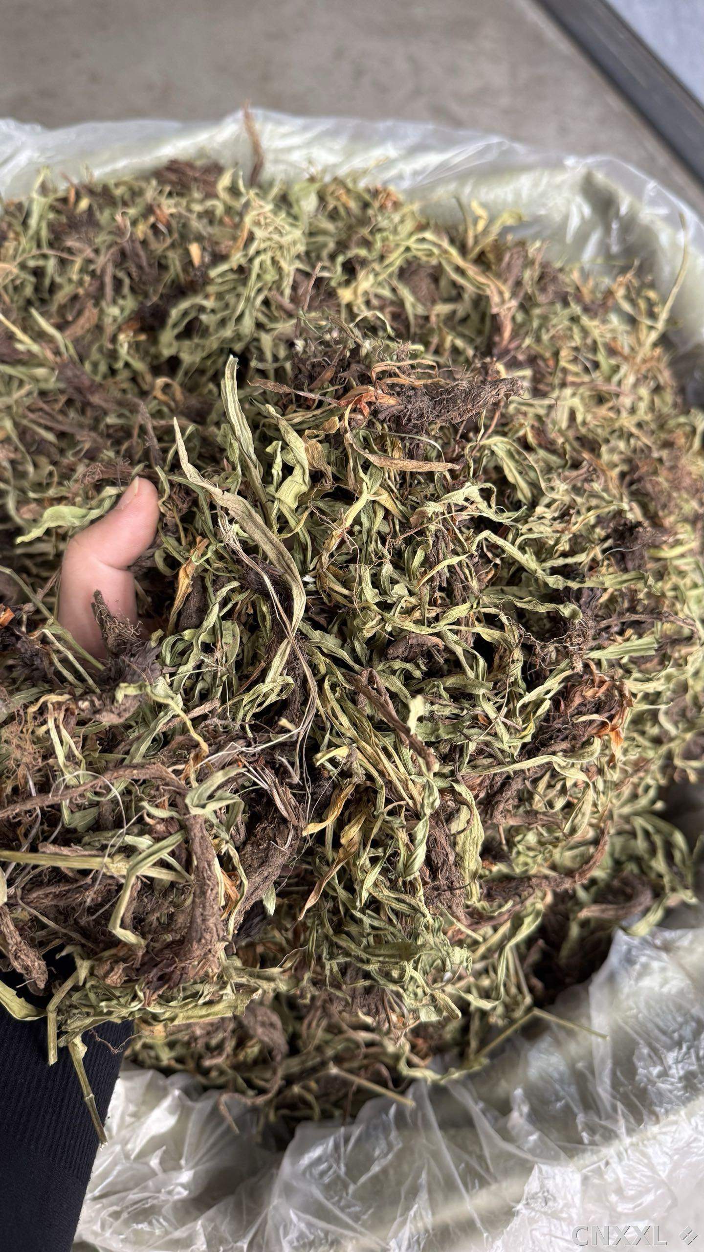 spice_5195893_a958c3aa_2.jpg