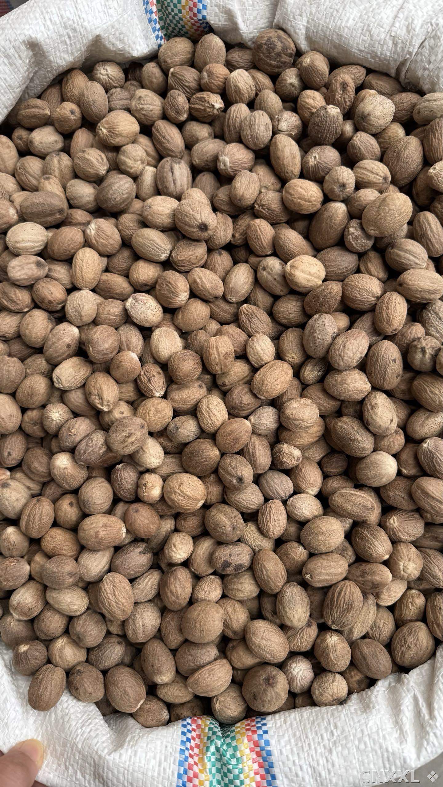 spice_5298552_1eb2fcf9_3.jpg