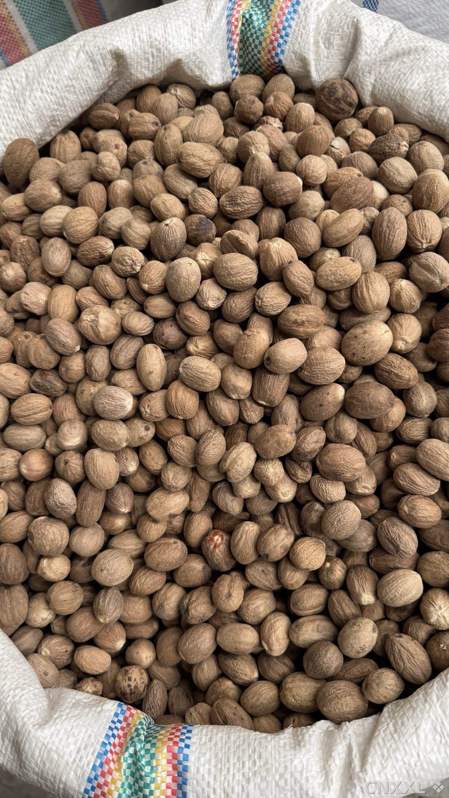 spice_5298553_ff3aa697_3.jpg