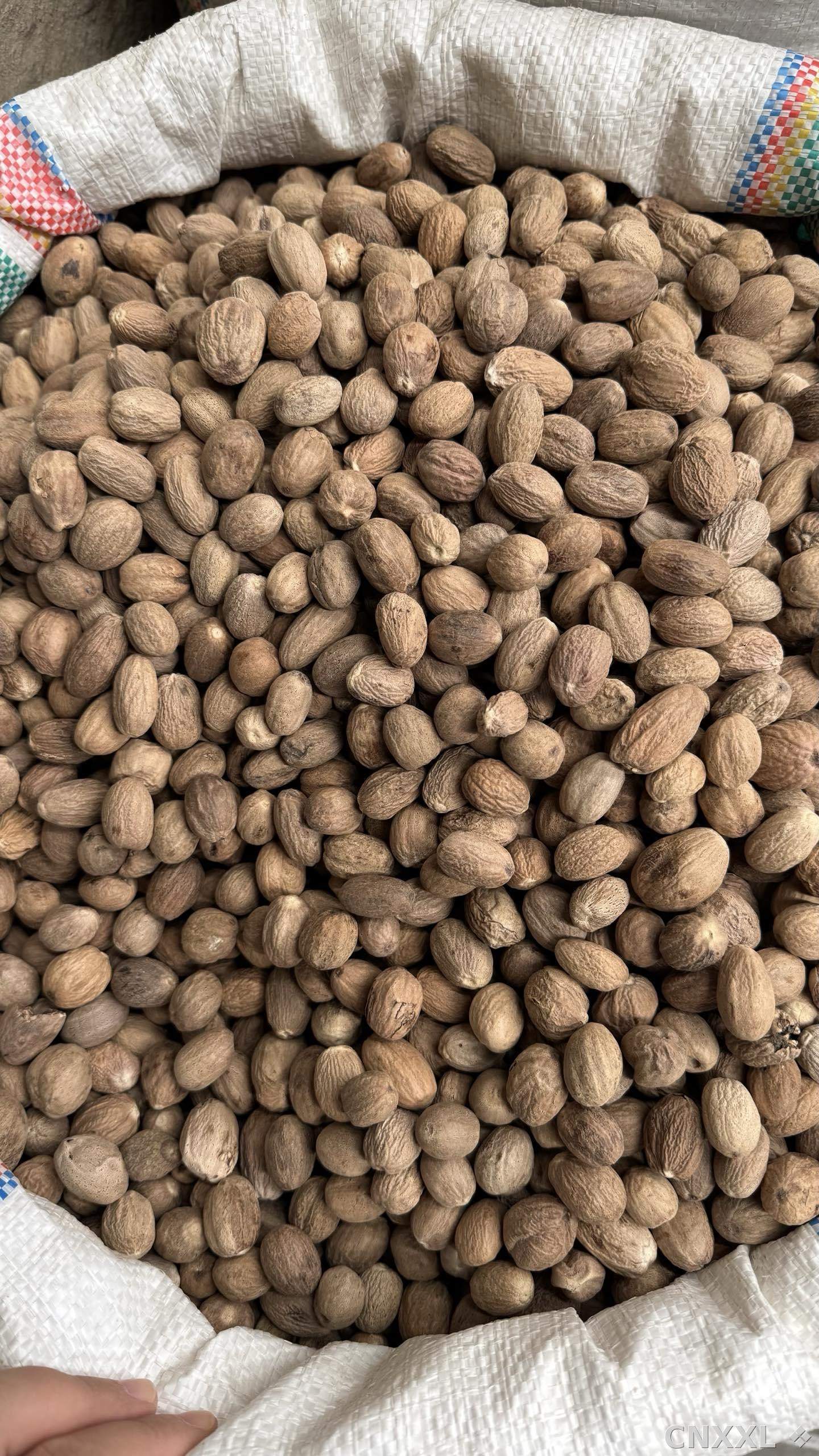spice_5298554_4fc8dc81_3.jpg