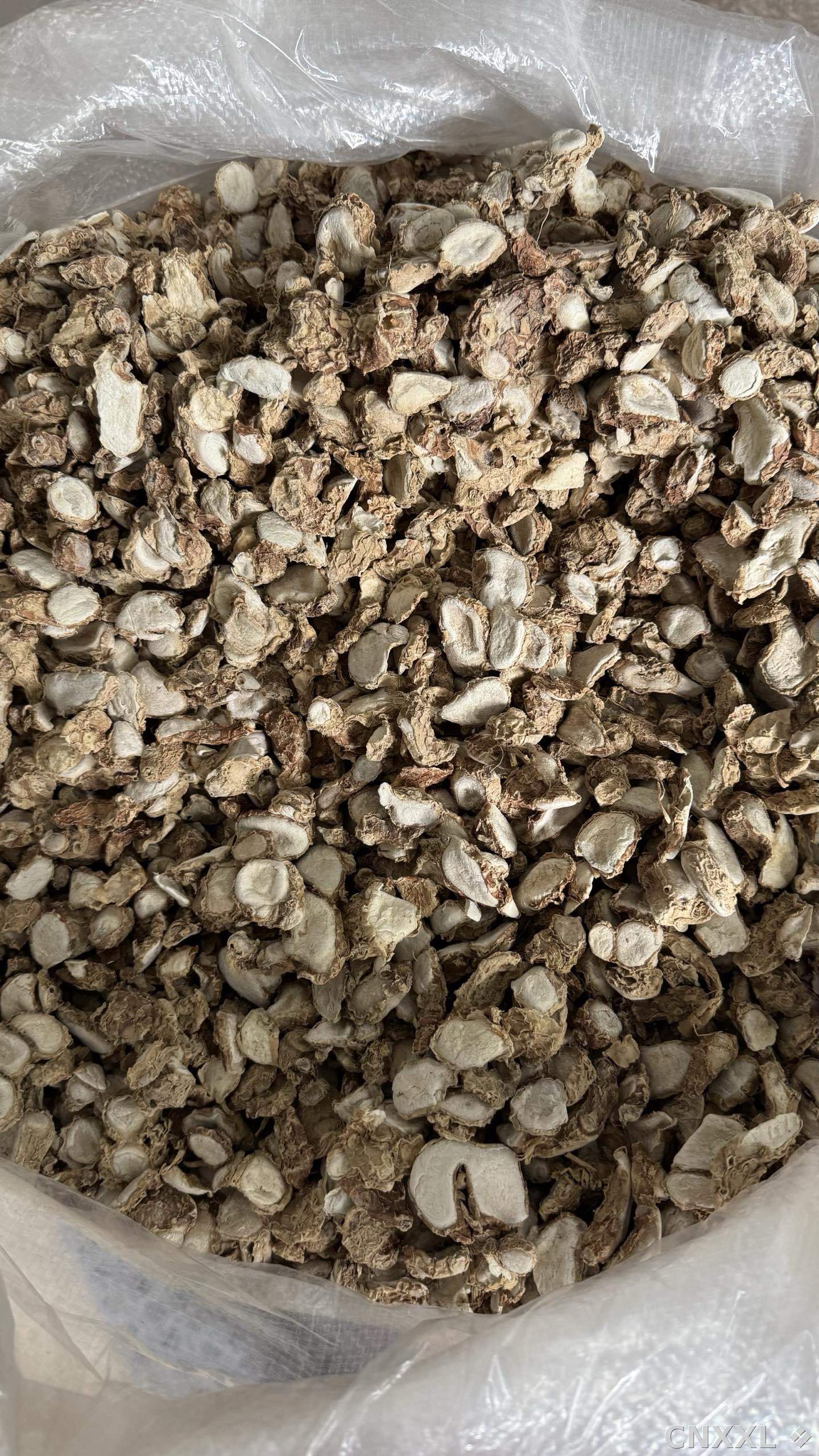 spice_5298560_45ecb3e4_3.jpg