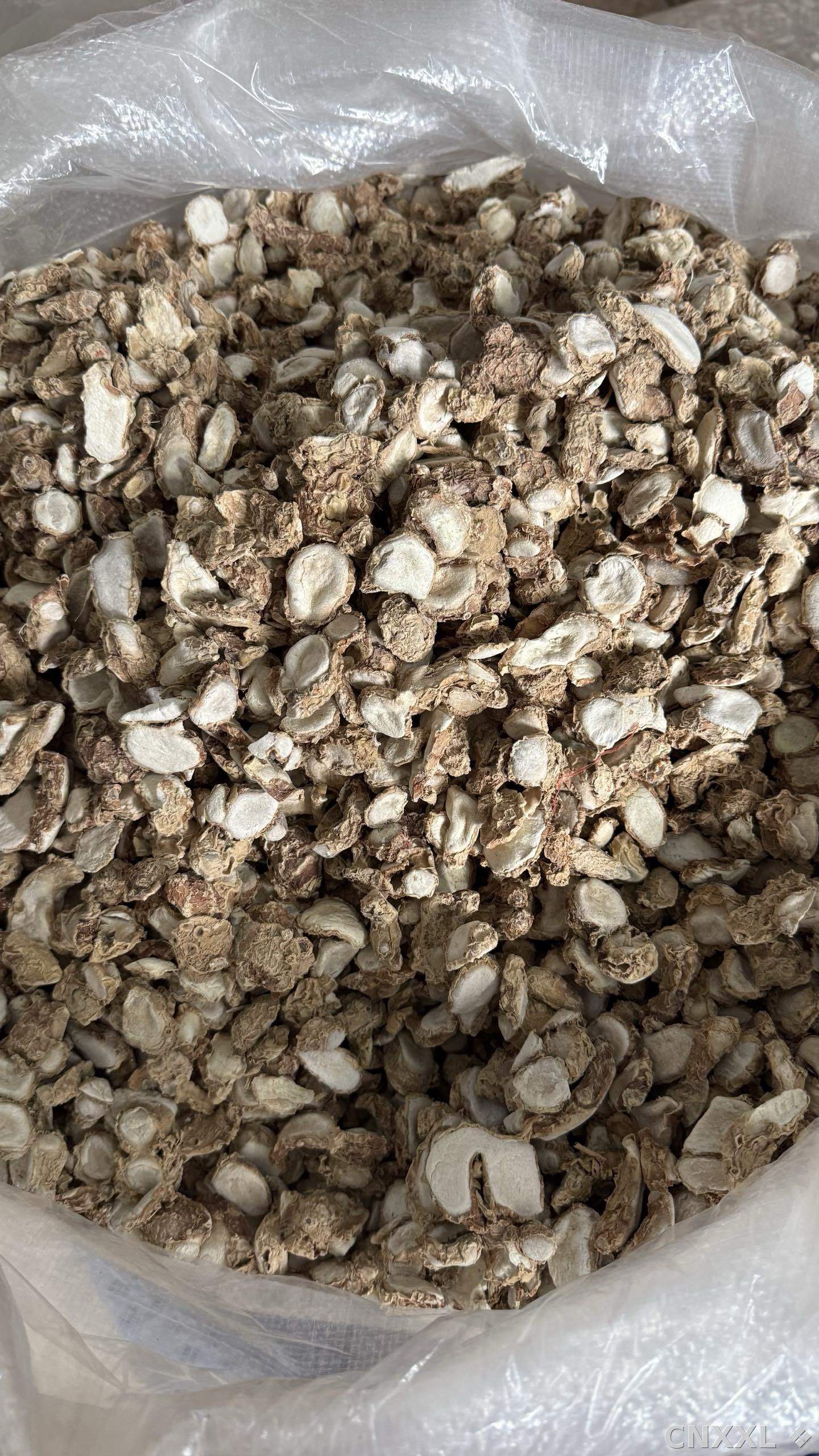 spice_5298560_9ec70c74_2.jpg