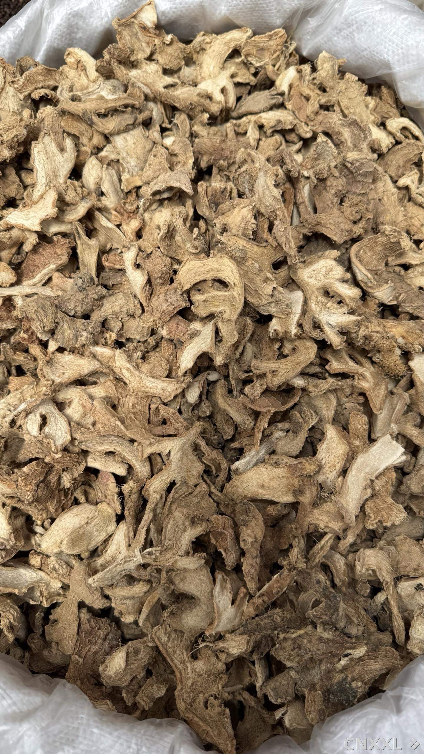 spice_5303689_60307f99_2.jpg