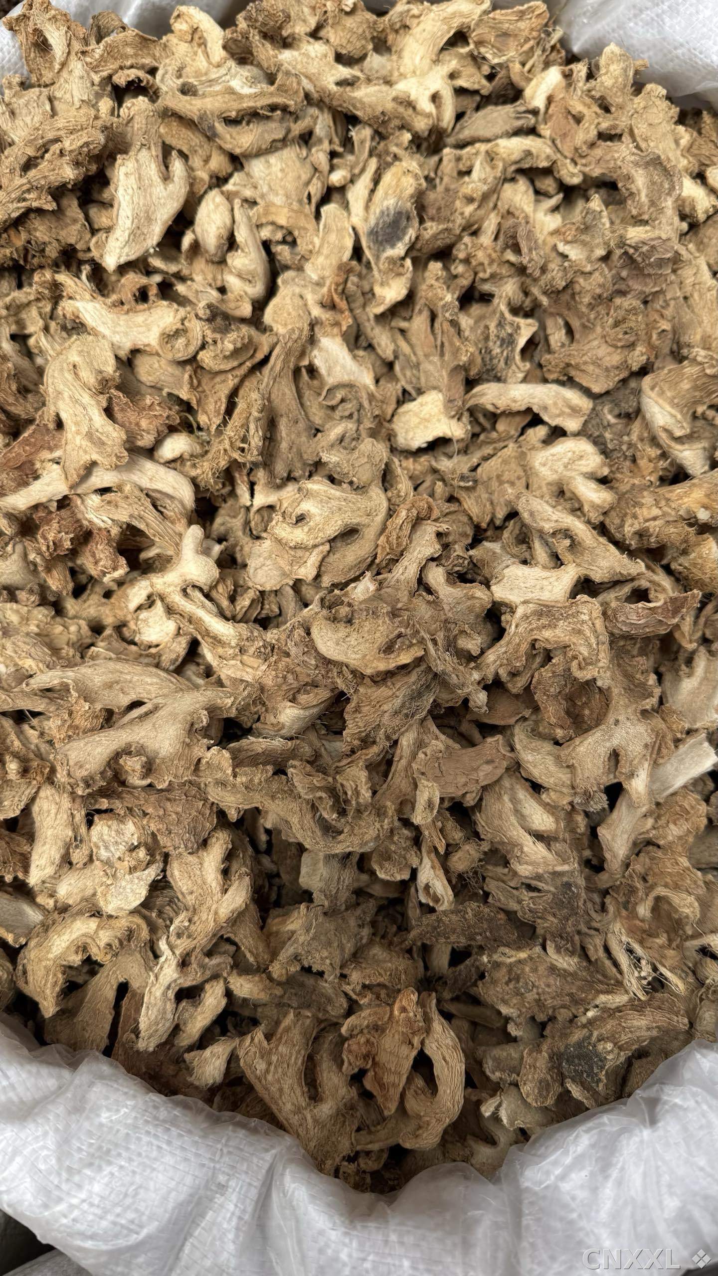spice_5303689_a0ddc5ac_3.jpg