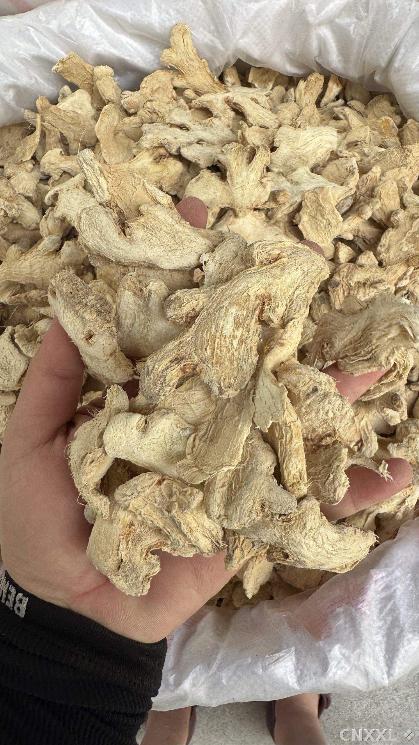 spice_5303693_42d29c64_2.jpg