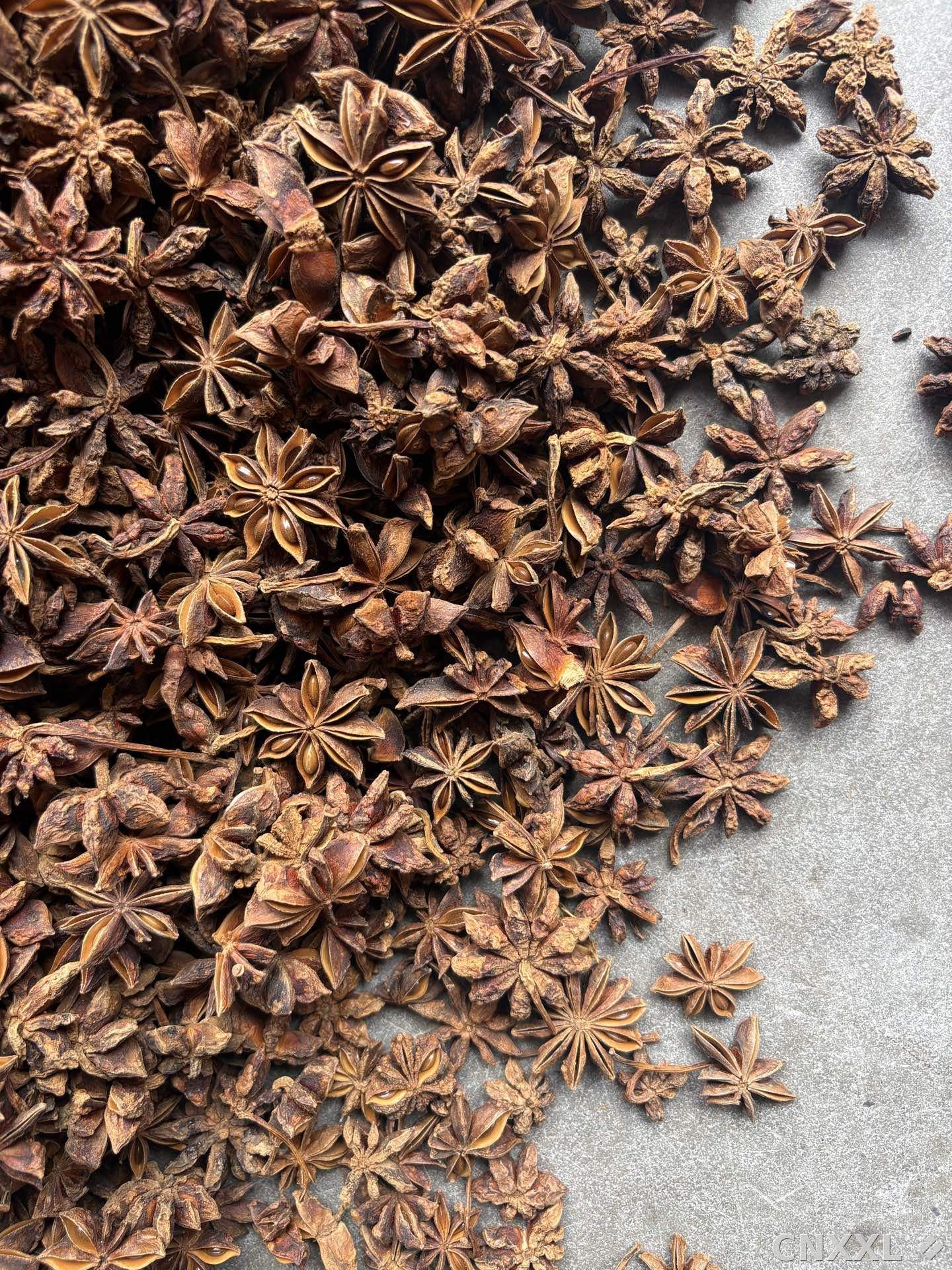 spice_5308947_de20891c_3.jpg