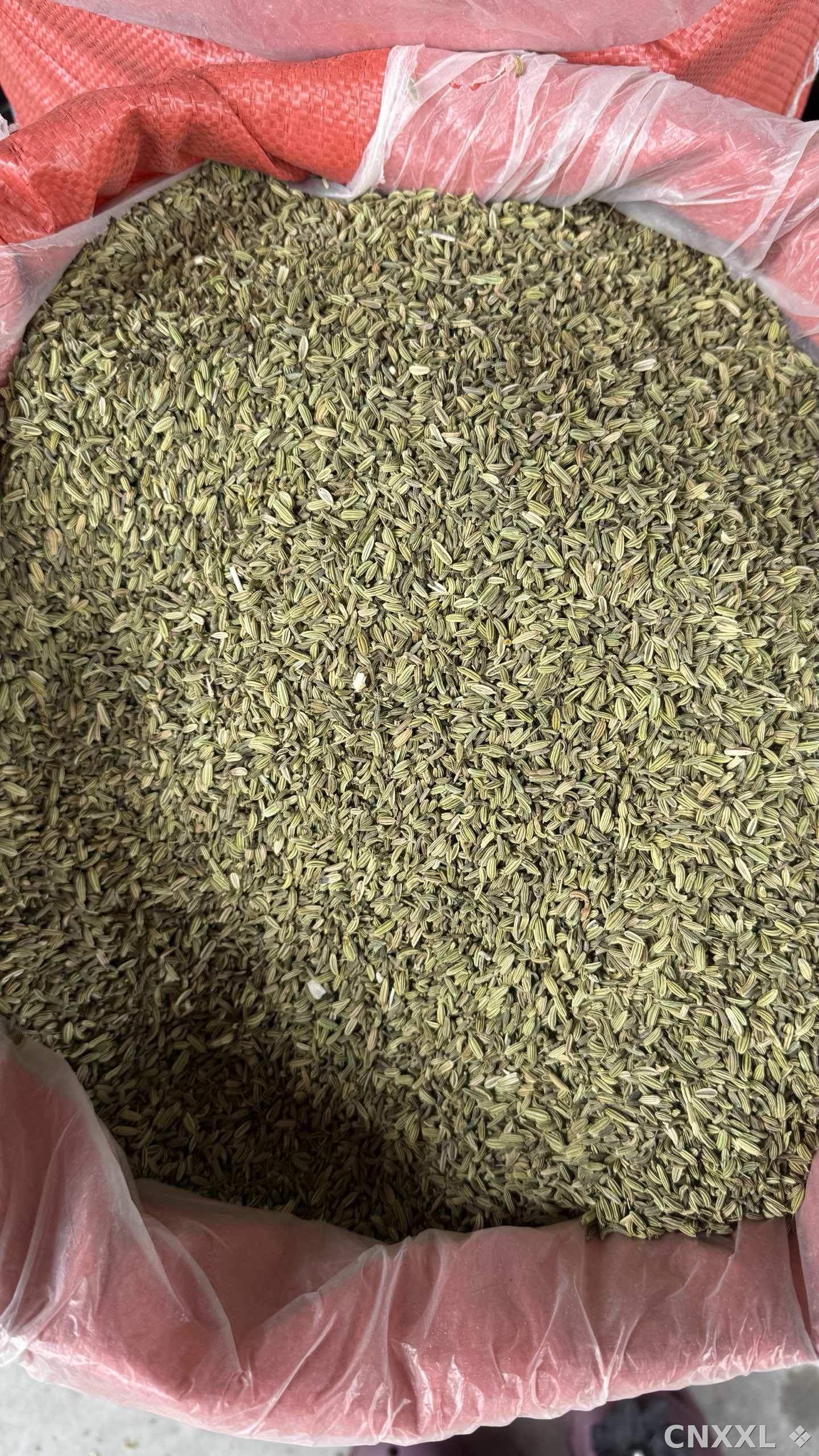spice_5403318_3104854d_3.jpg