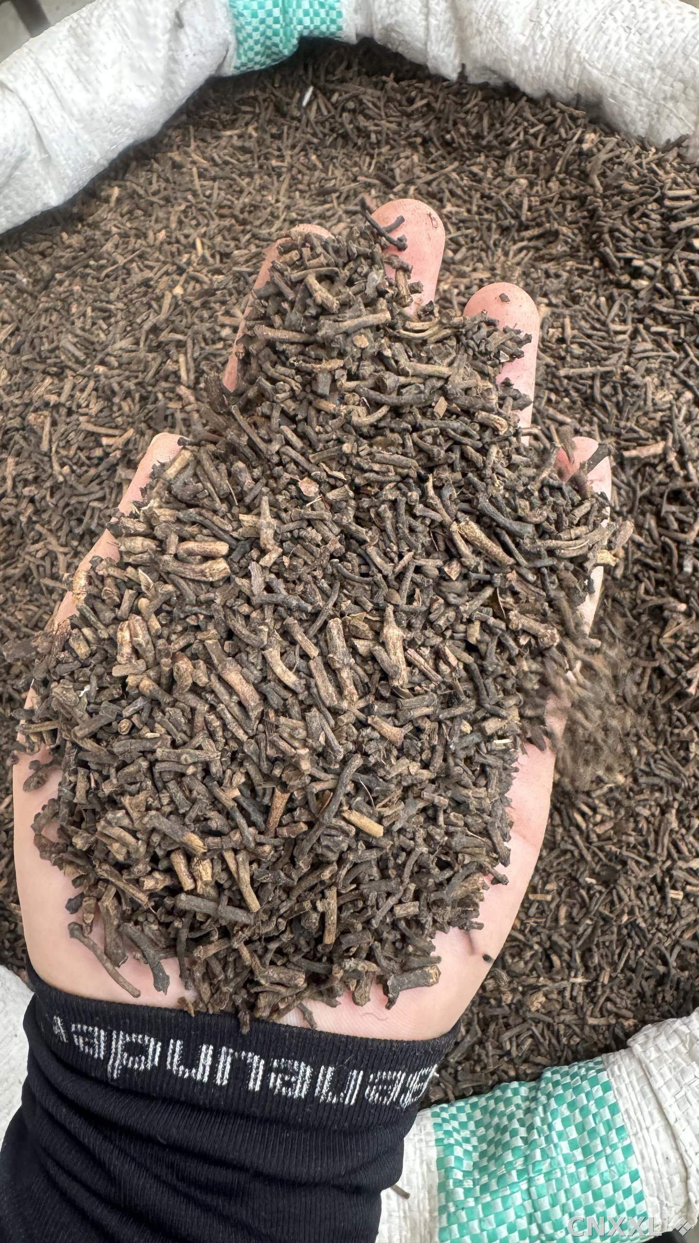 spice_5403321_6a020ed0_2.jpg