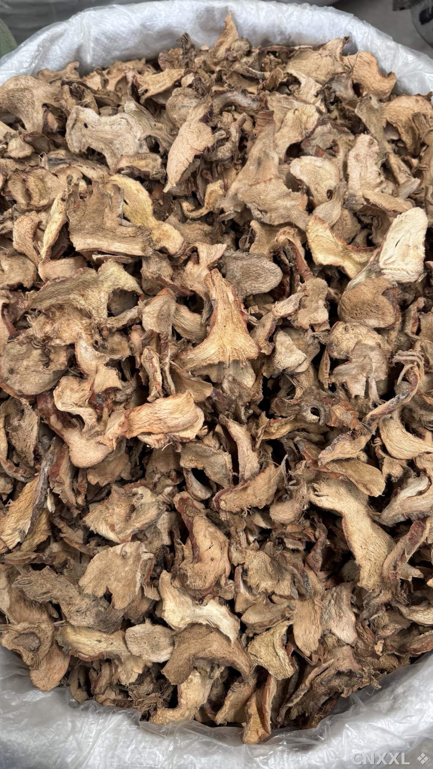 spice_5403636_4e98f01a_3.jpg