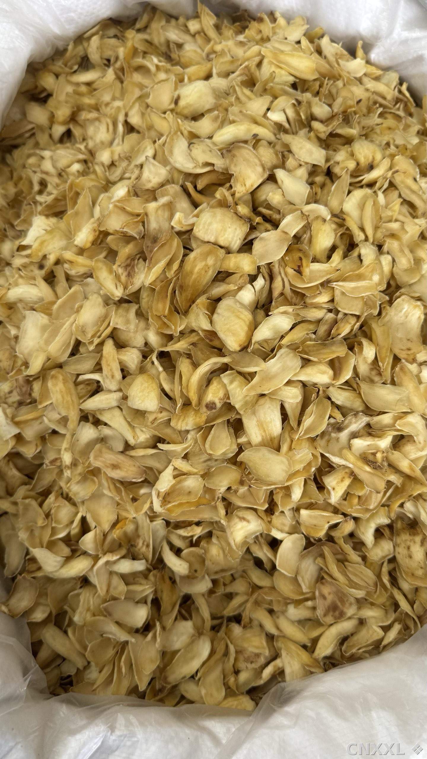 spice_5403639_f4d6d8e4_3.jpg