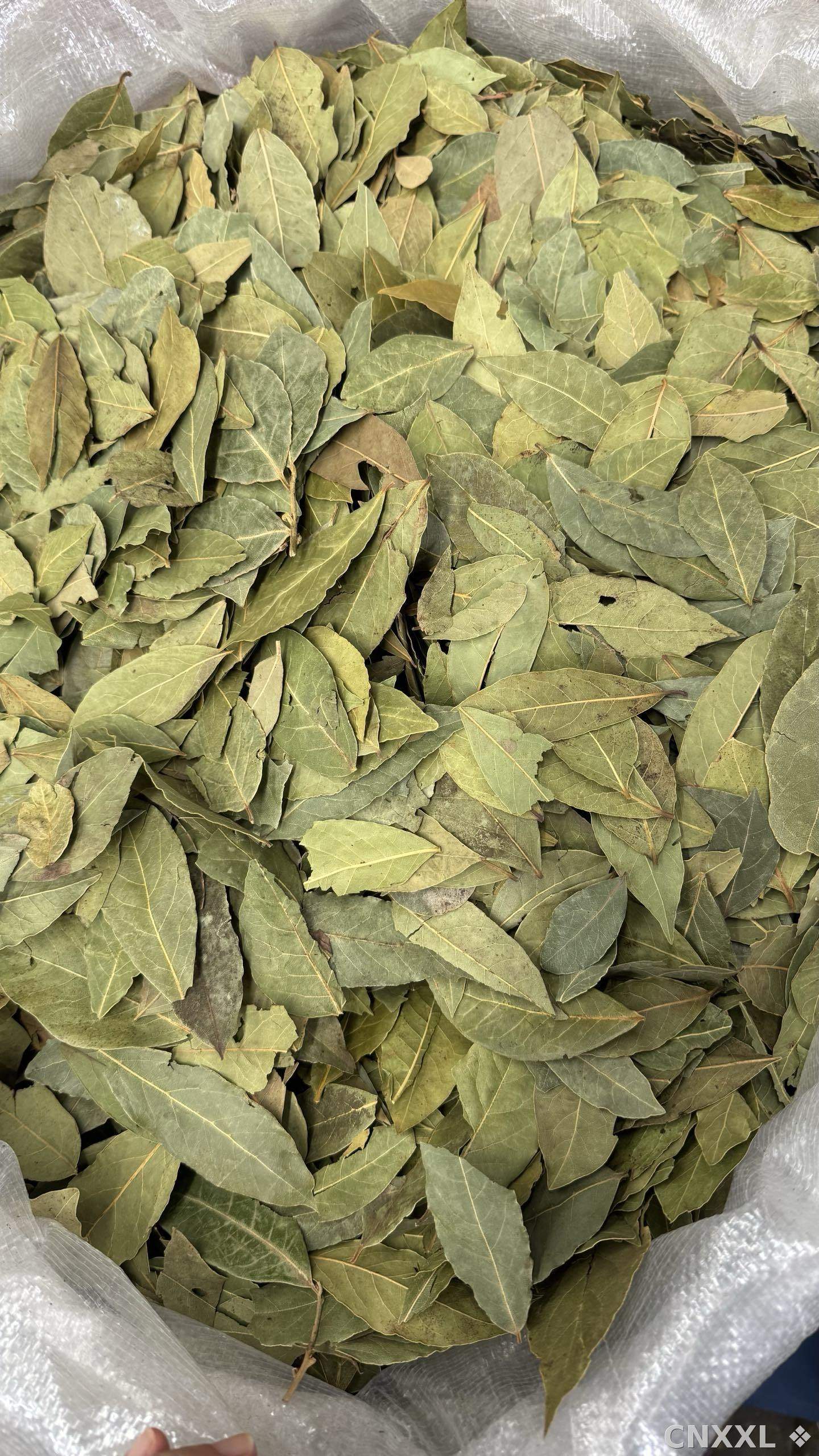 spice_5403659_8daccfe3_3.jpg