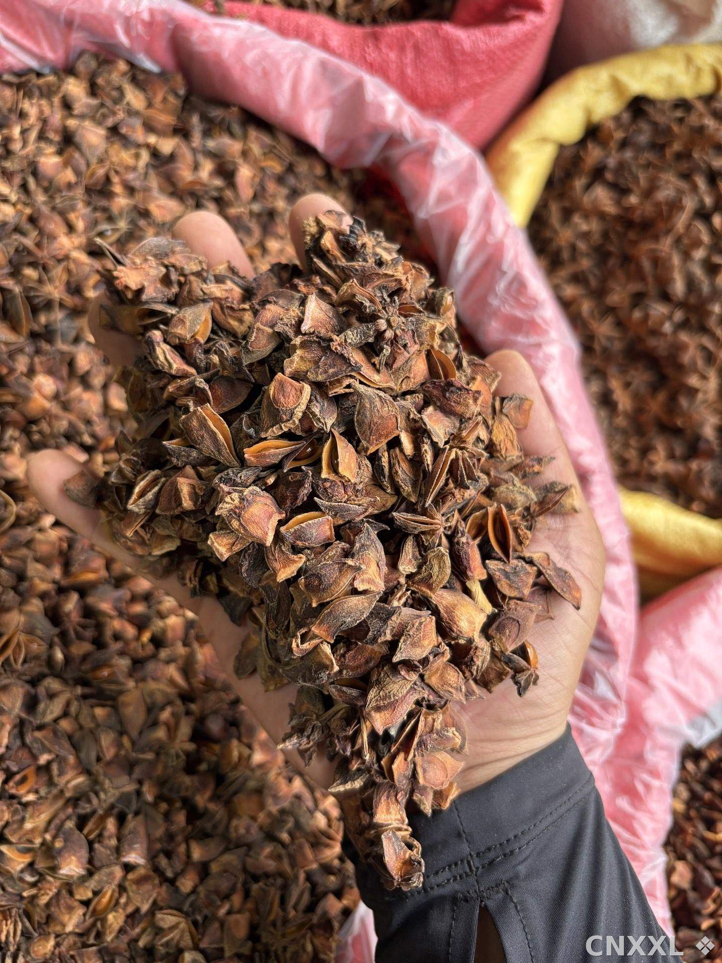spice_5465075_be7aafb1_1.jpg