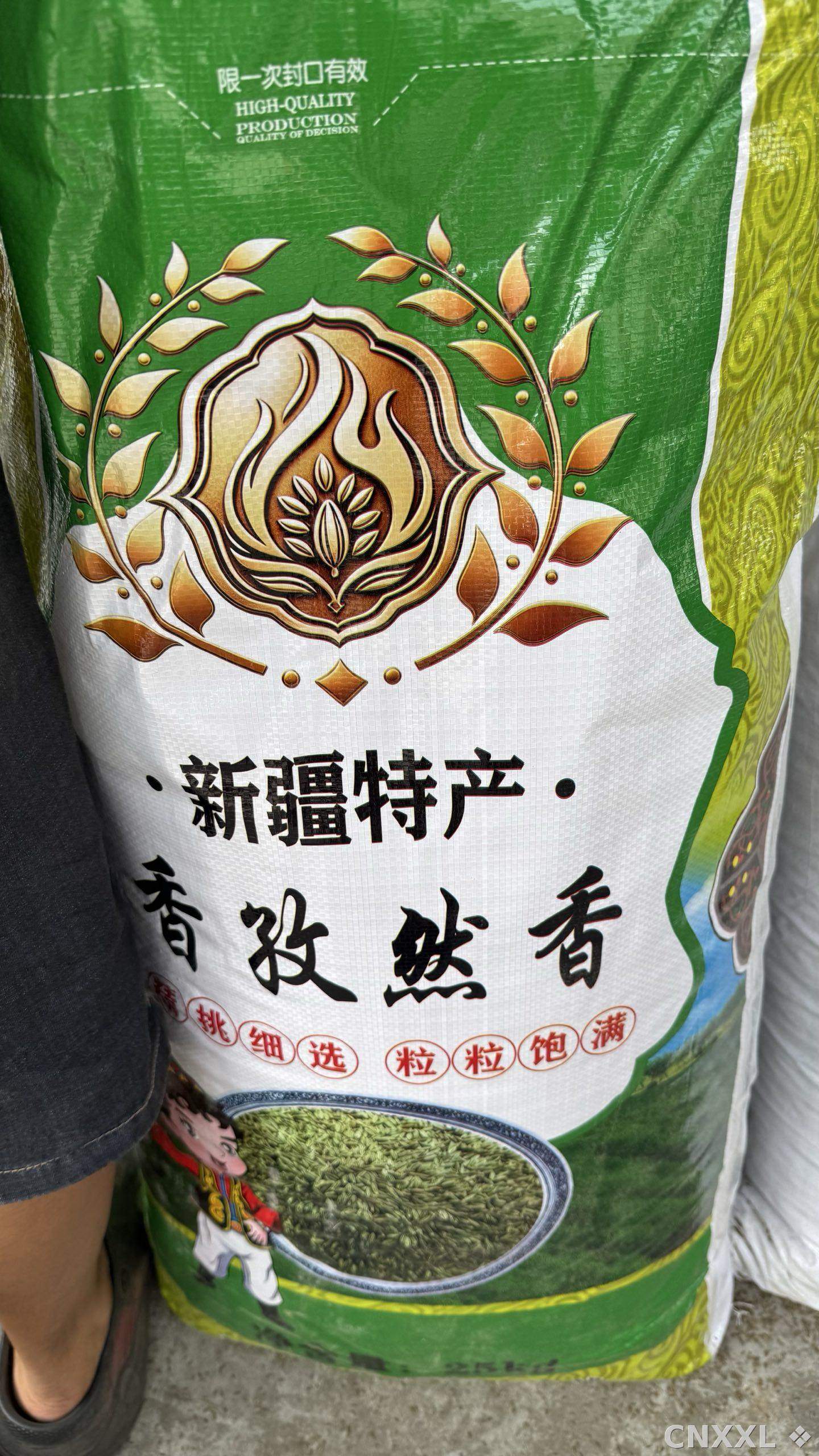 spice_5609305_3fcaa45c_3.jpg