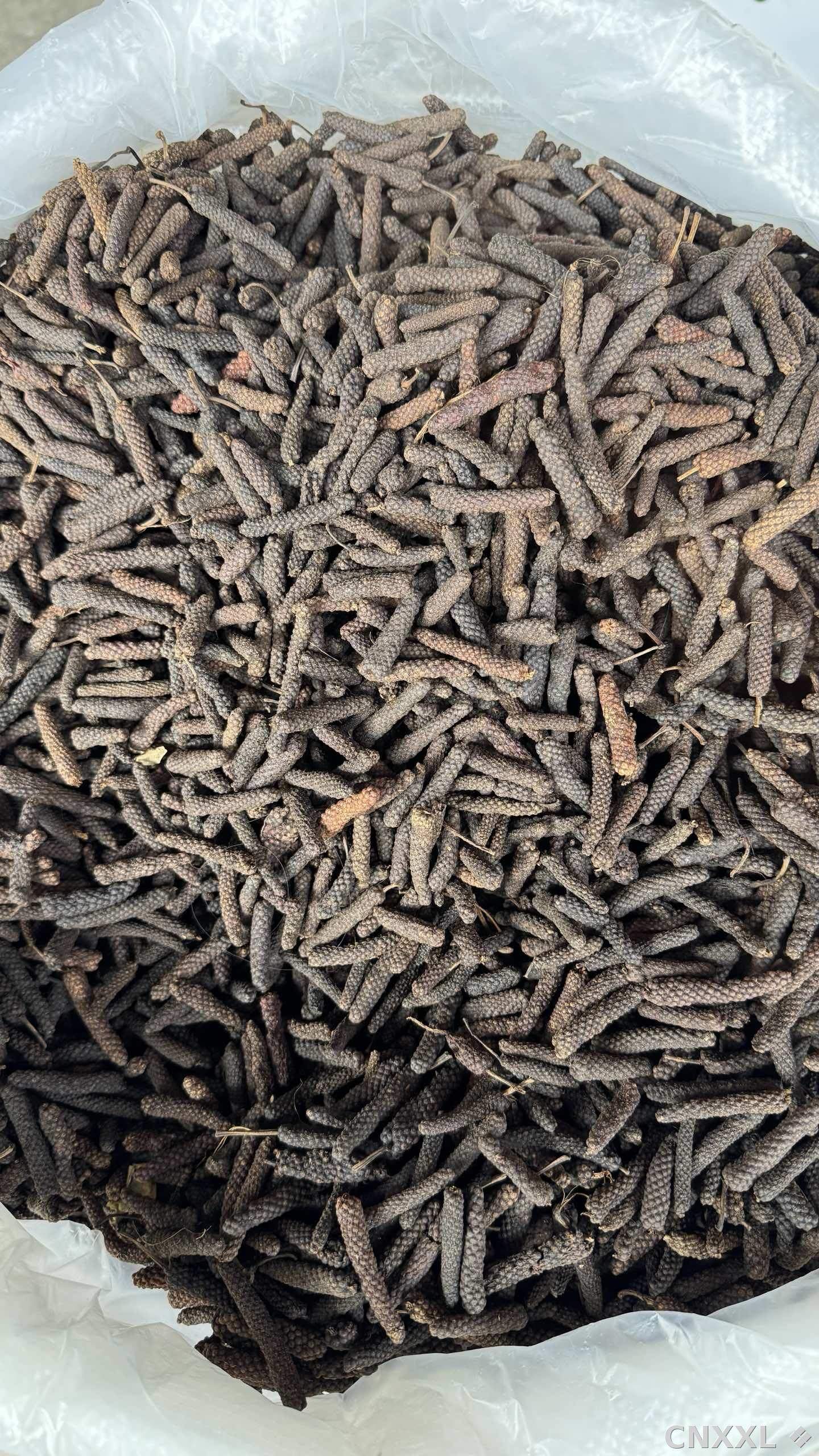 spice_5609306_77aa8343_2.jpg