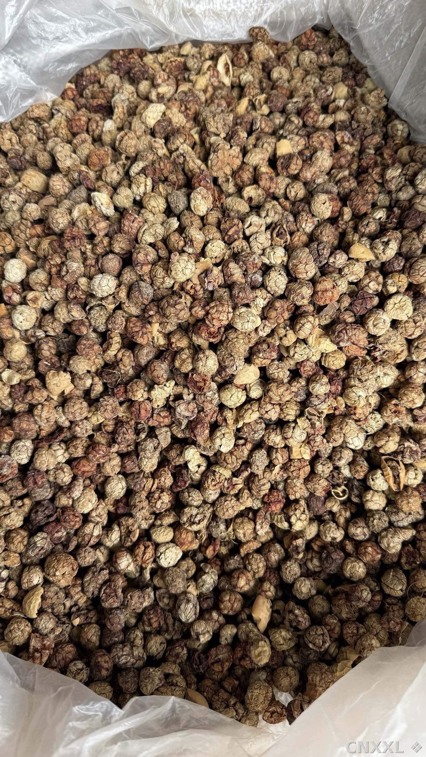 spice_5614453_6be23fc0_3.jpg