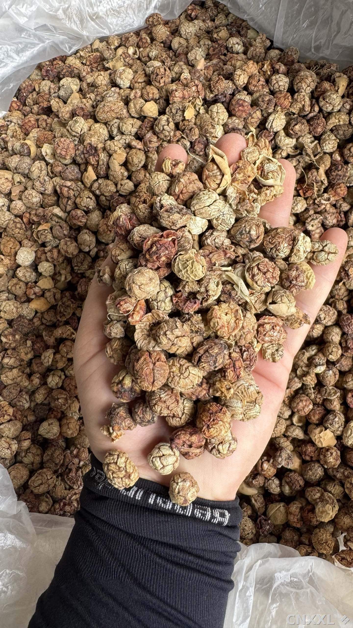 spice_5614453_6c4ba7c7_2.jpg
