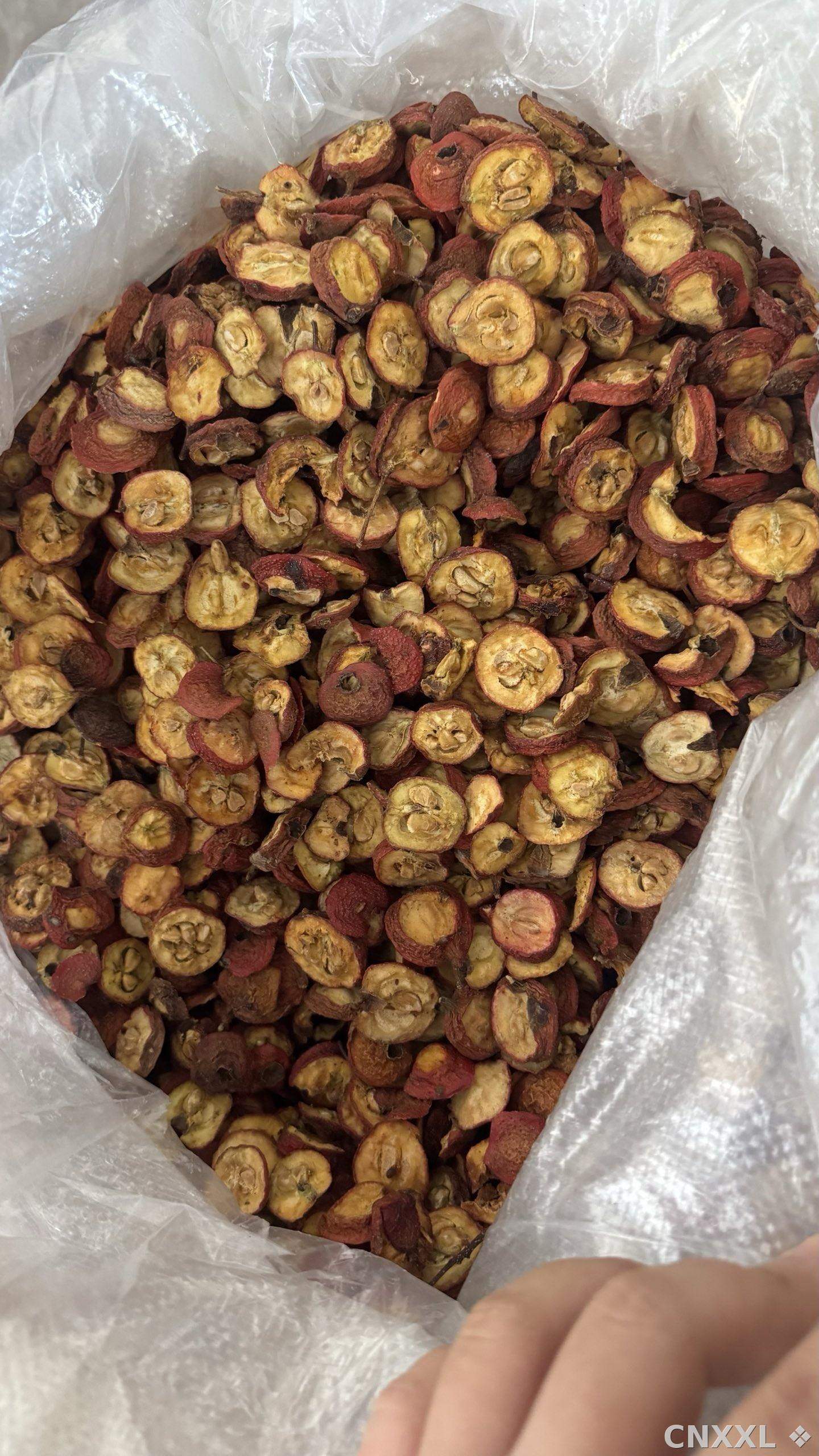 spice_5712379_325021fa_3.jpg