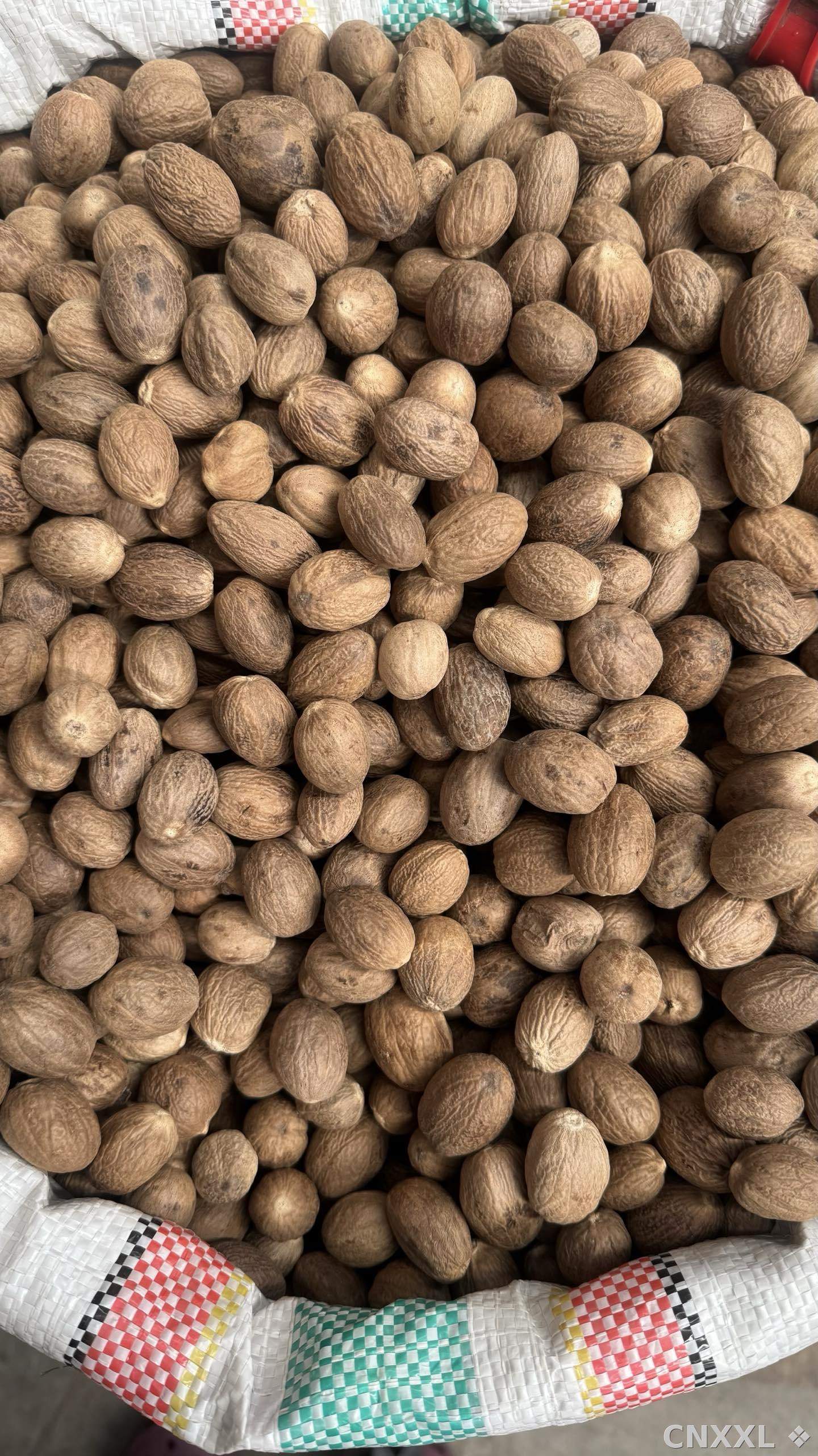 spice_5712400_6f85001f_2.jpg