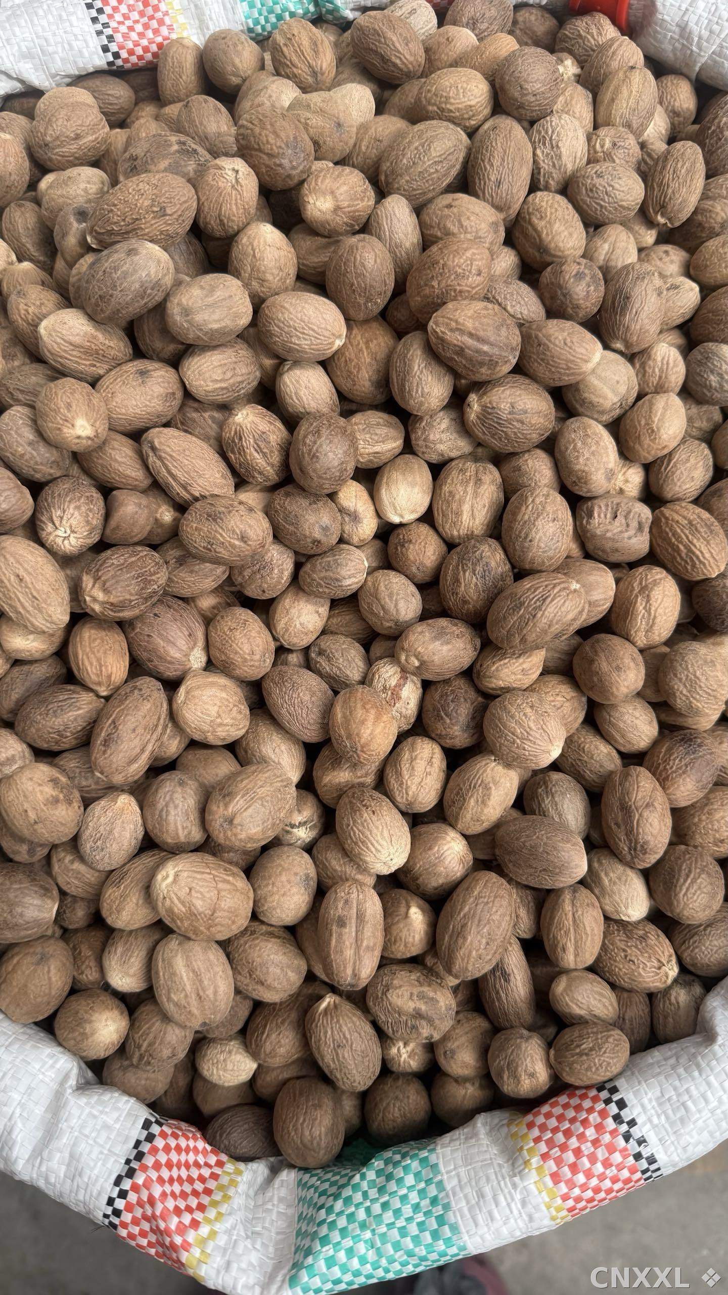 spice_5712400_e3ee60ff_3.jpg