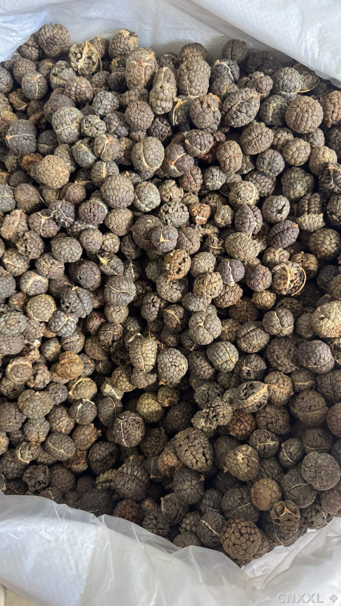 spice_5717541_f0cd7cb2_3.jpg