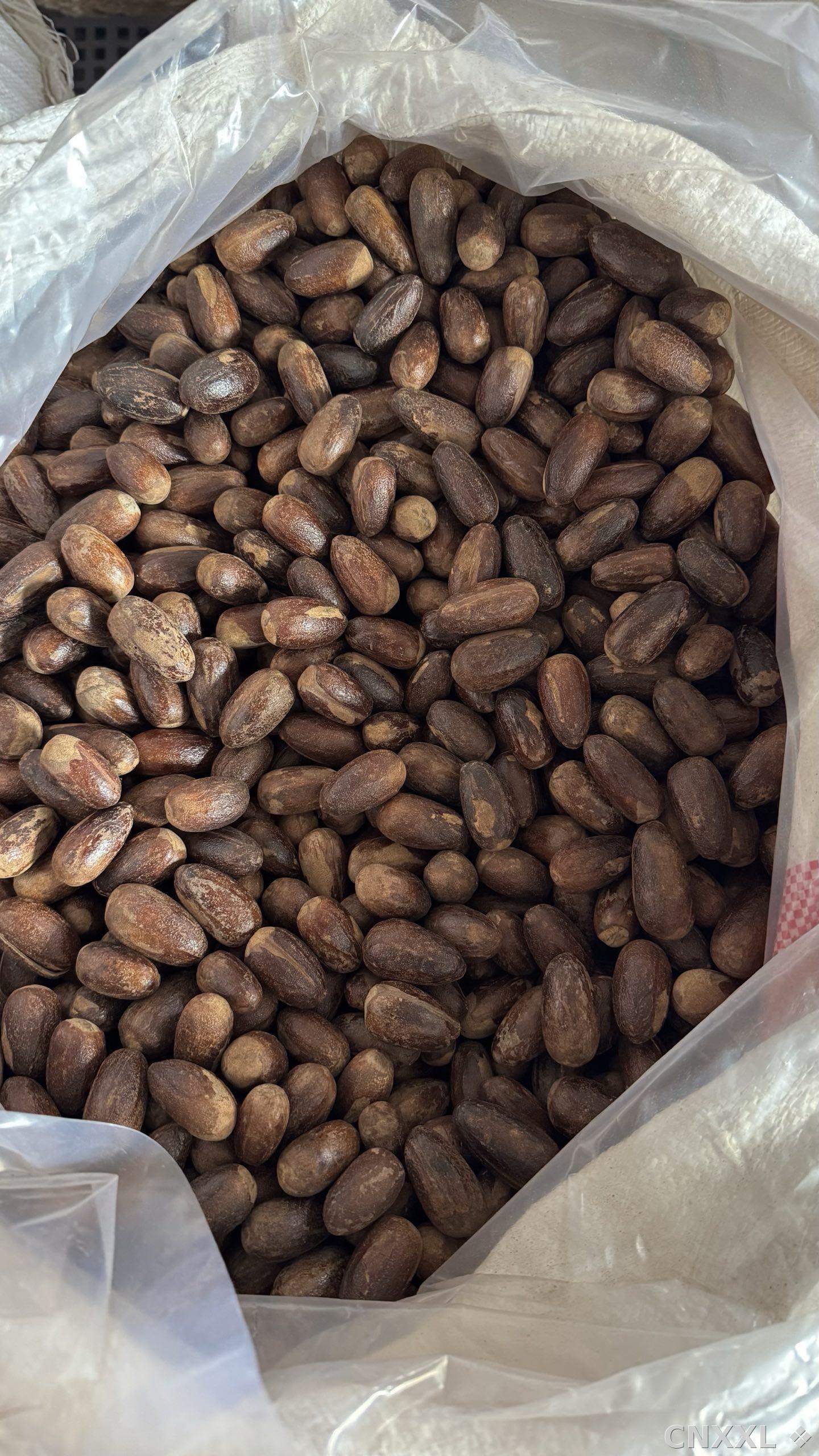 spice_5789809_d086432e_3.jpg