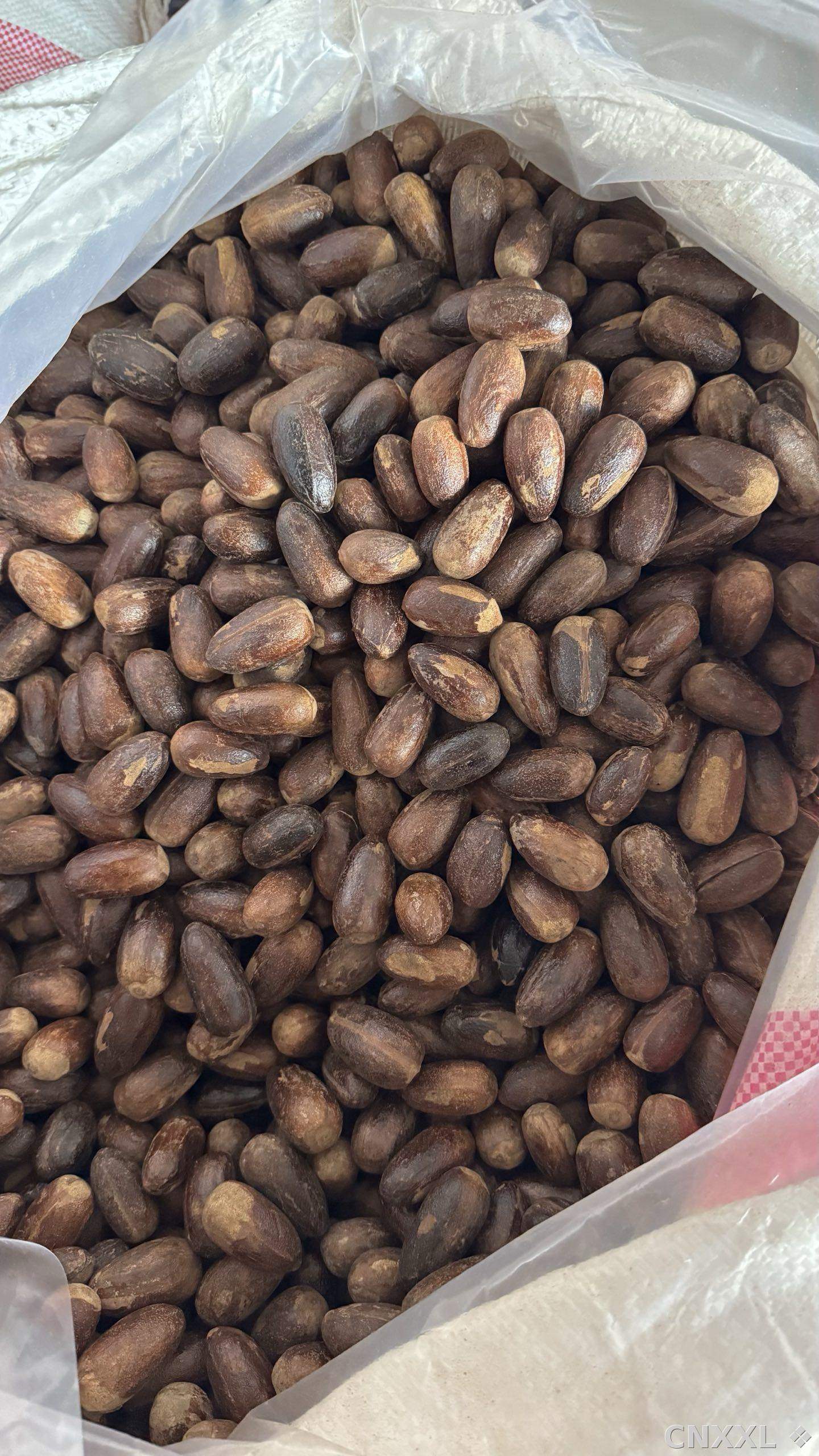 spice_5789809_d6e2d7bf_2.jpg