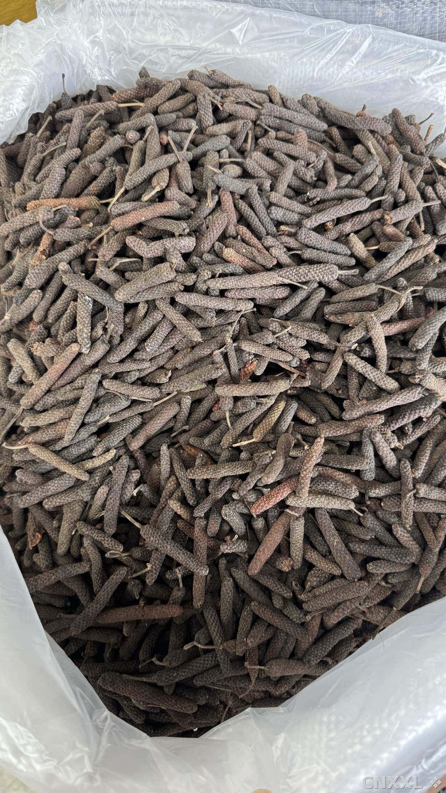 spice_5919092_9839525e_3.jpg