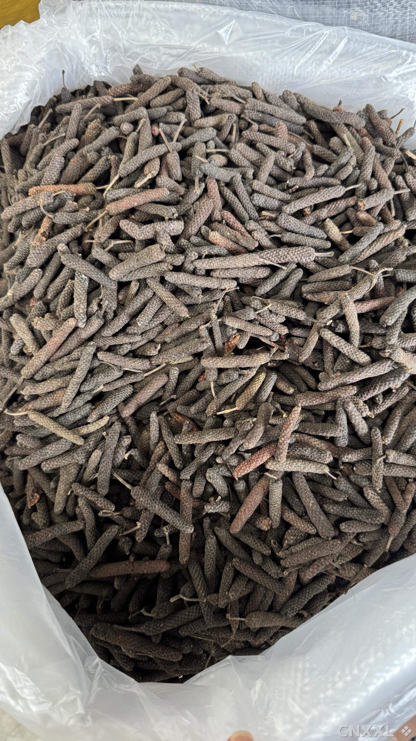 spice_5919092_eceef27b_2.jpg